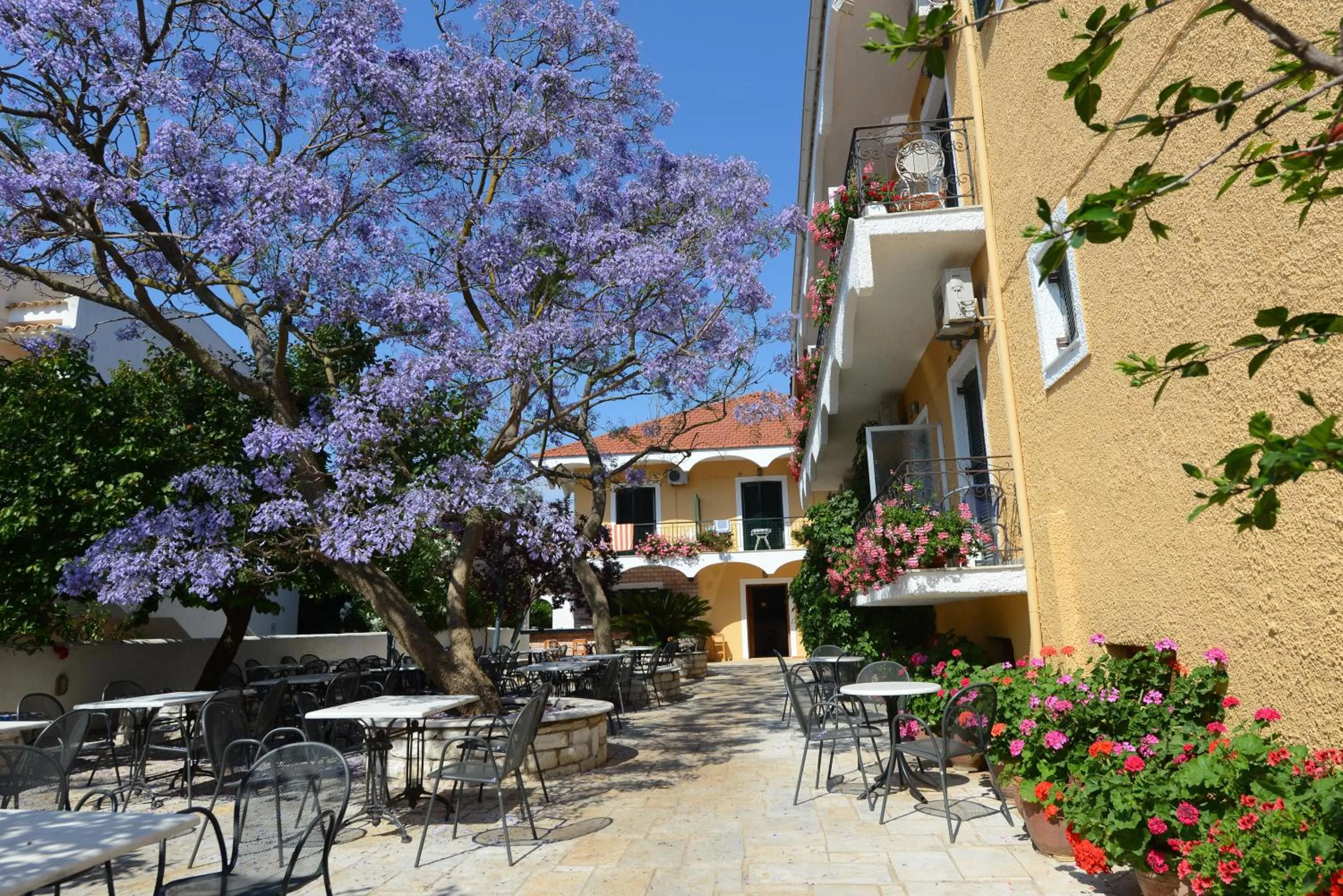 Garden in Marie Hotel