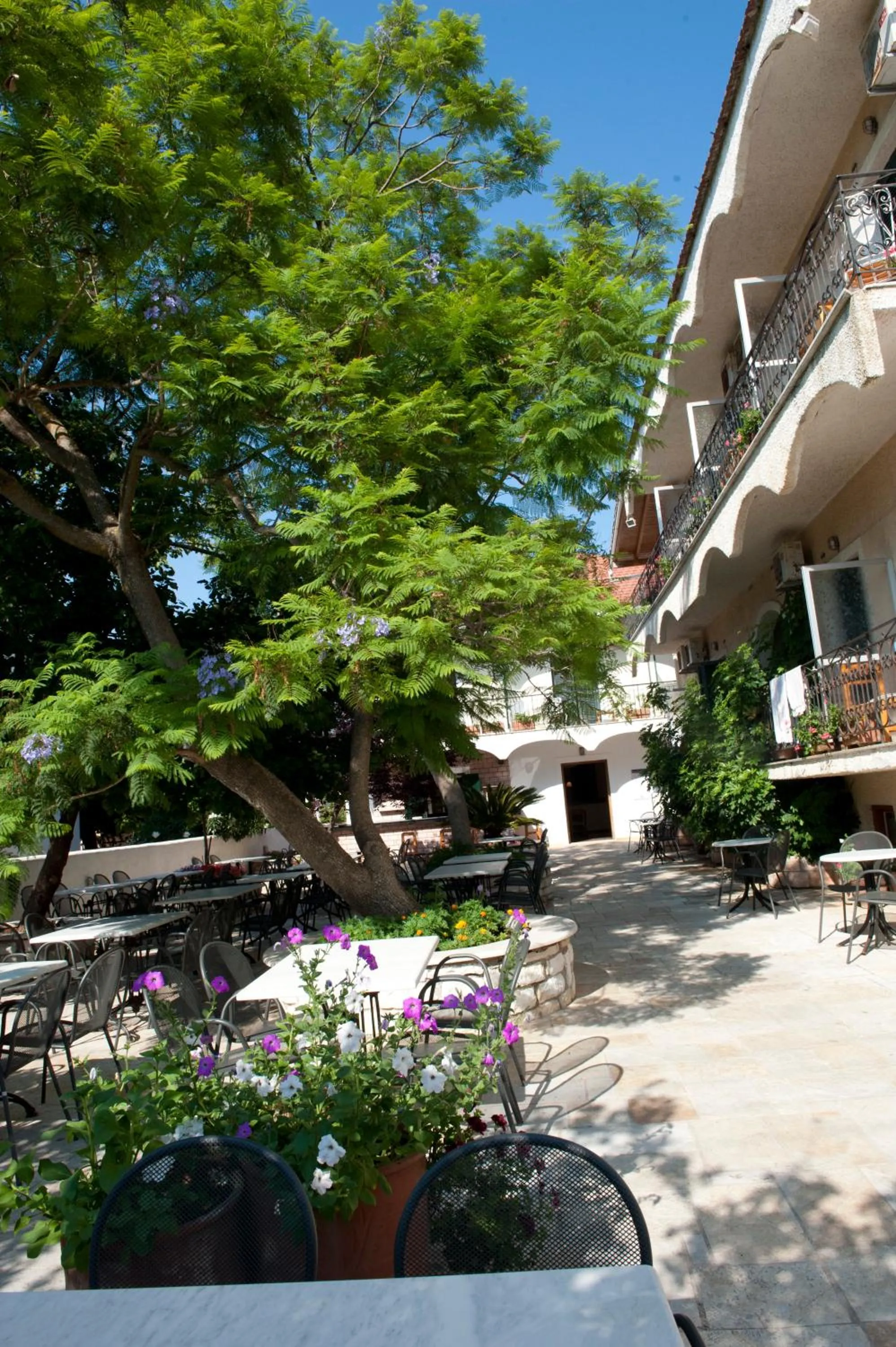 Garden in Marie Hotel