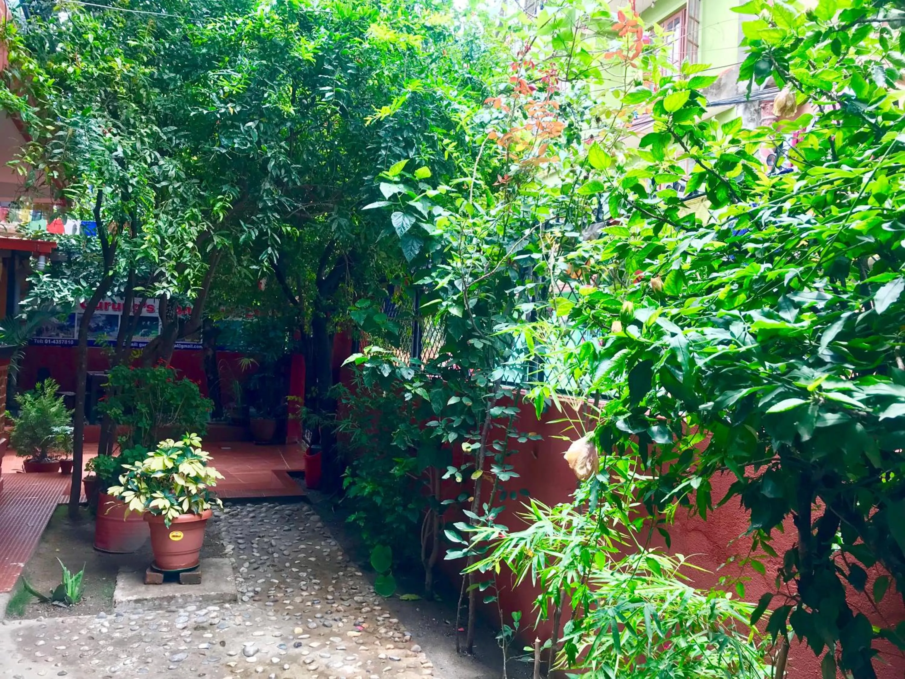 Garden in Gurung's Home