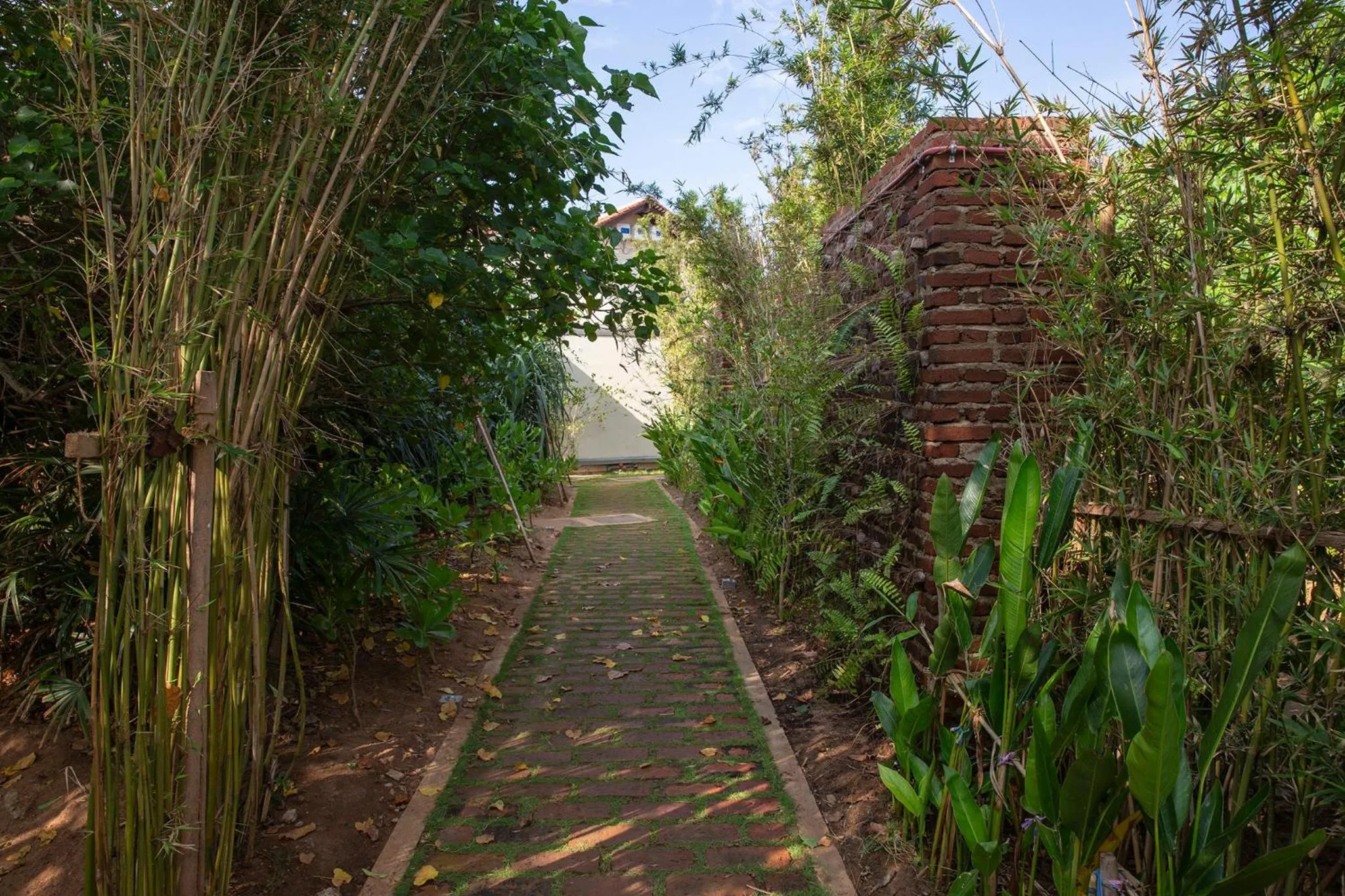 Natural landscape in Ravana Garden