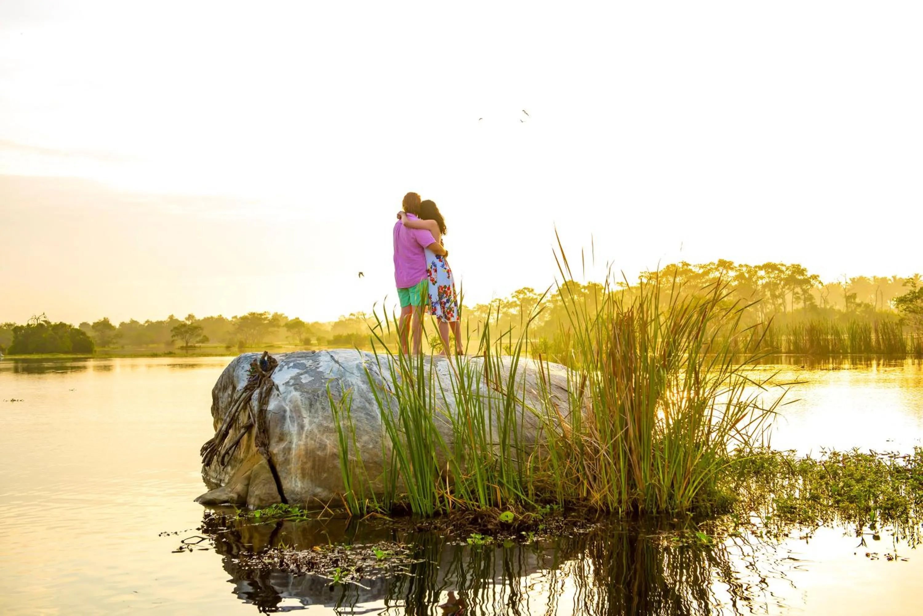 Property building in Ravana Garden
