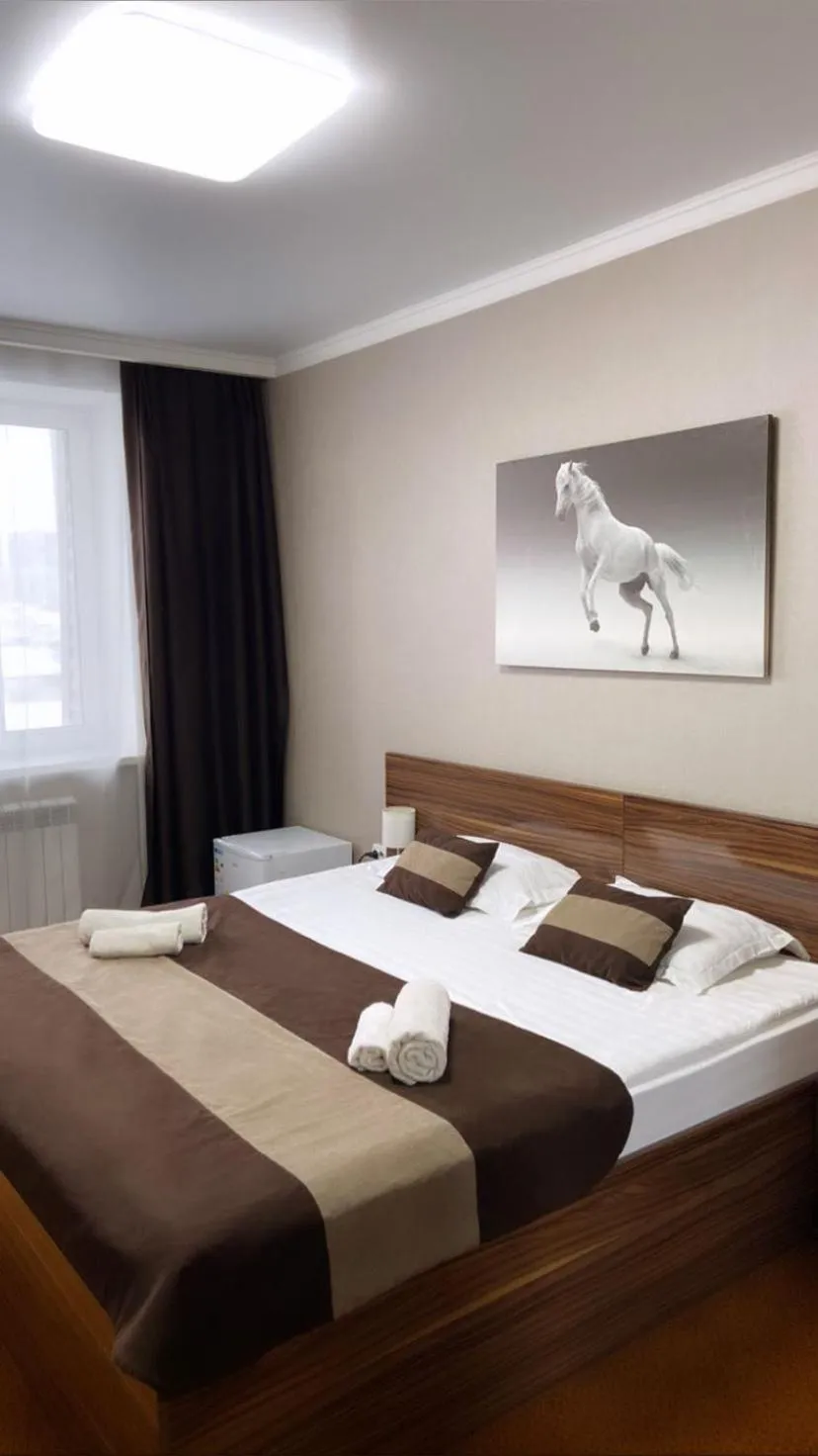 Deluxe Double Room in Premier Inn Astana