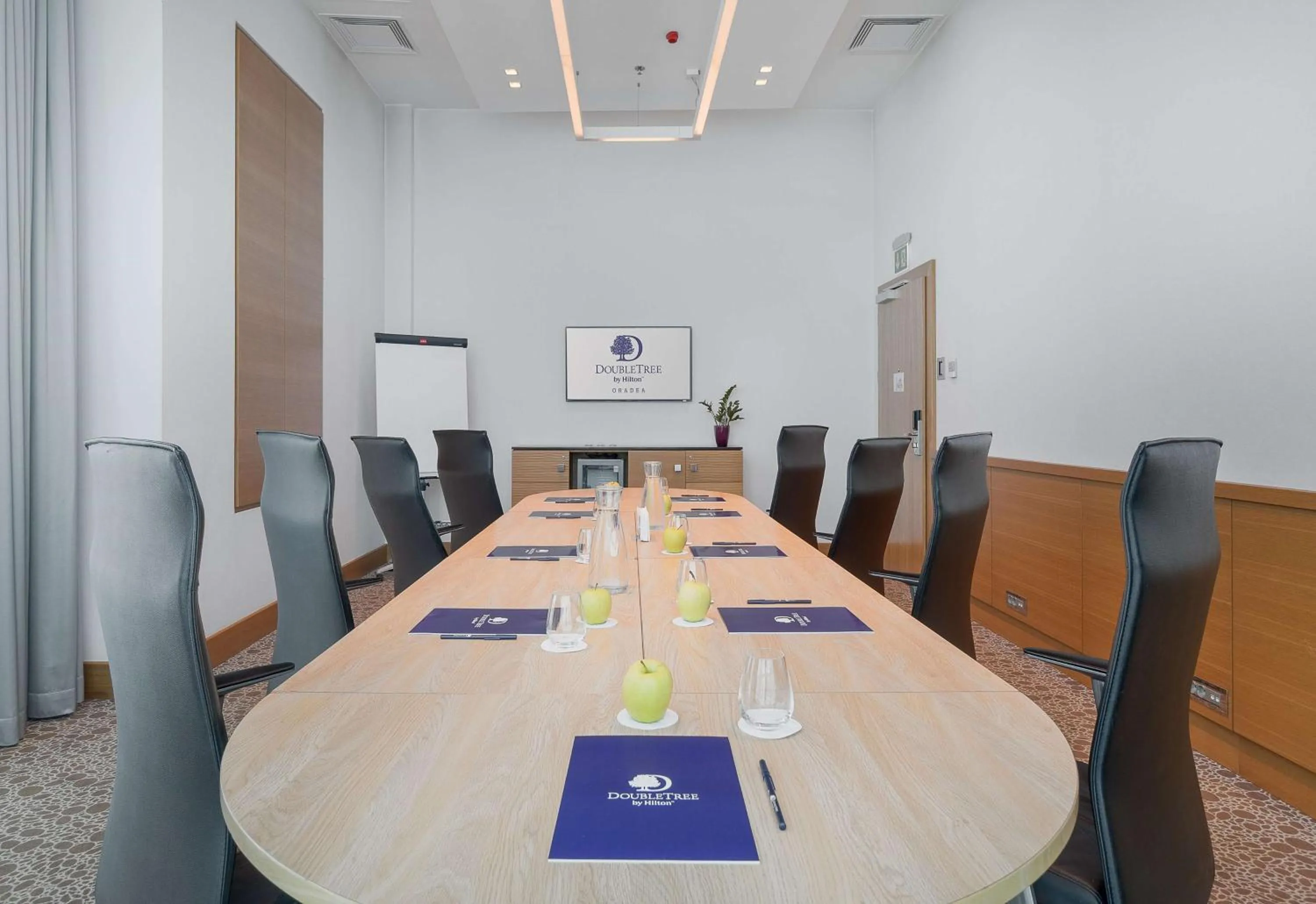 Meeting/conference room in DoubleTree by Hilton Oradea