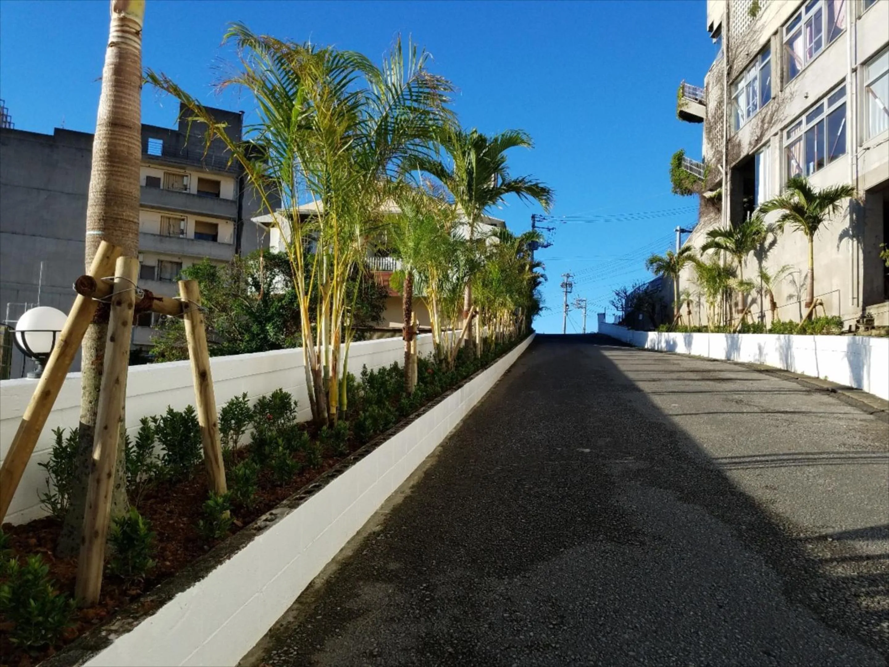 Facade/entrance in Hotel Palm Tree Hill