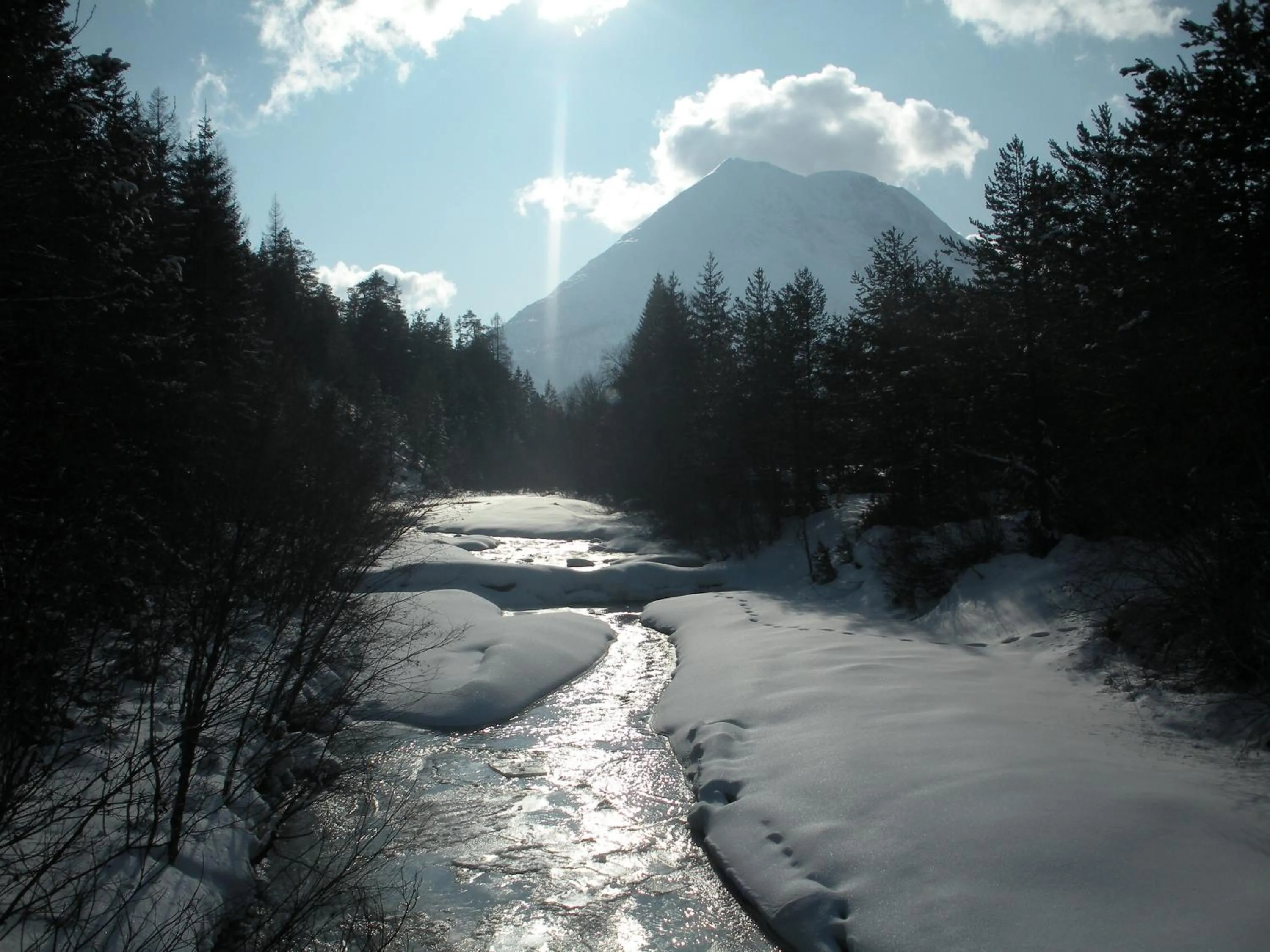 Natural landscape in Pension und Apartments Landhaus Marie