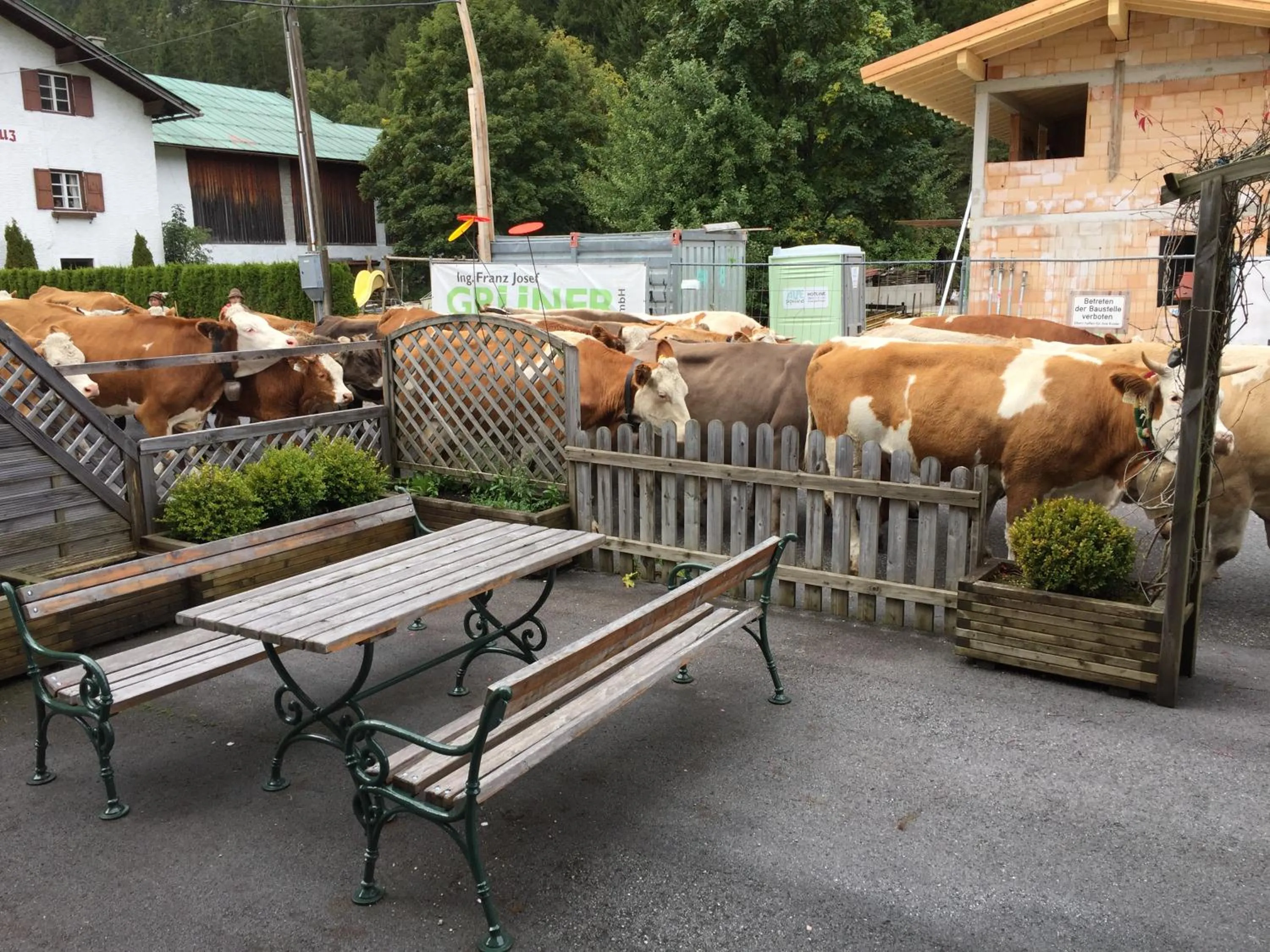 Autumn in Pension und Apartments Landhaus Marie