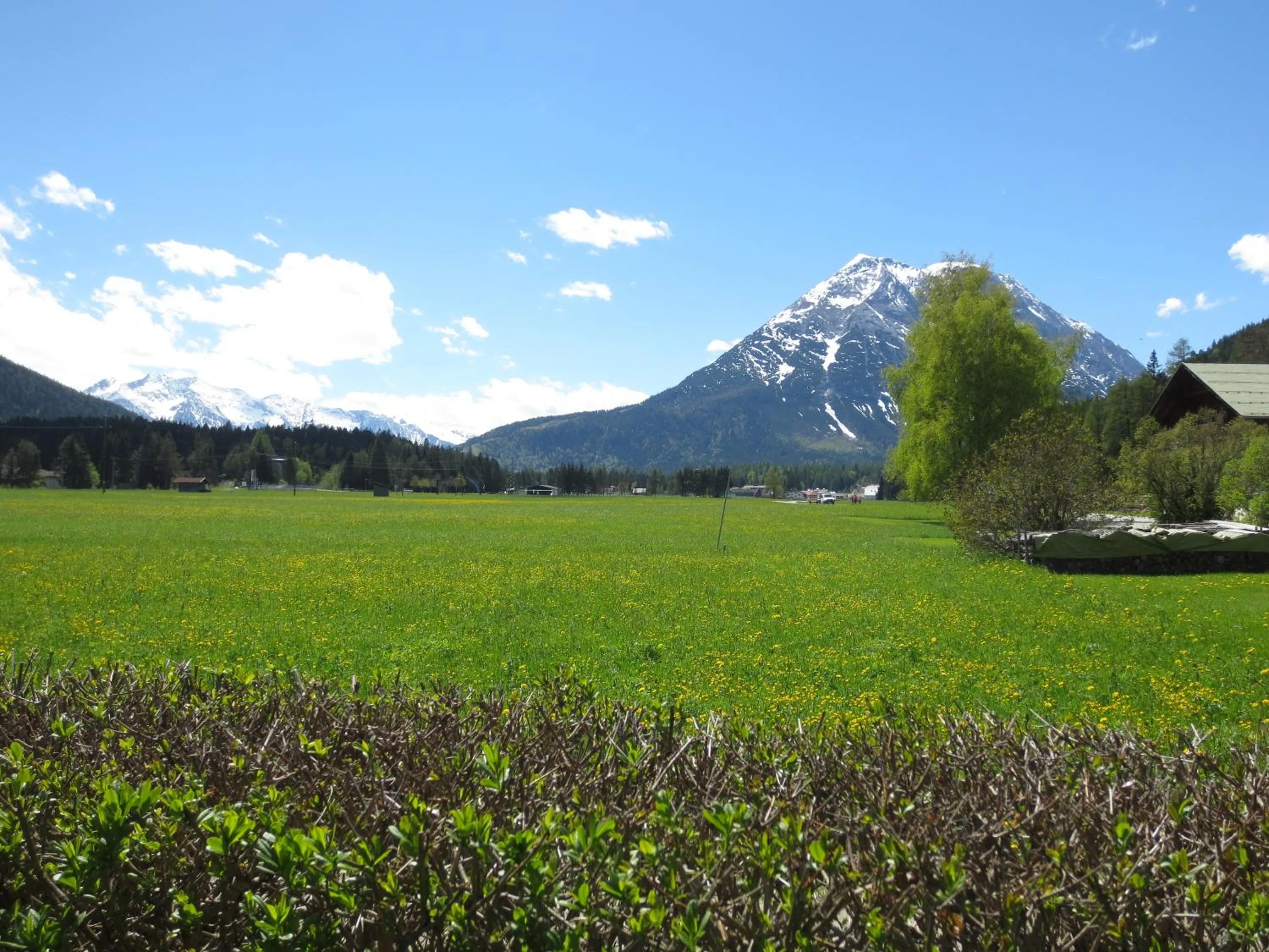 Spring in Pension und Apartments Landhaus Marie