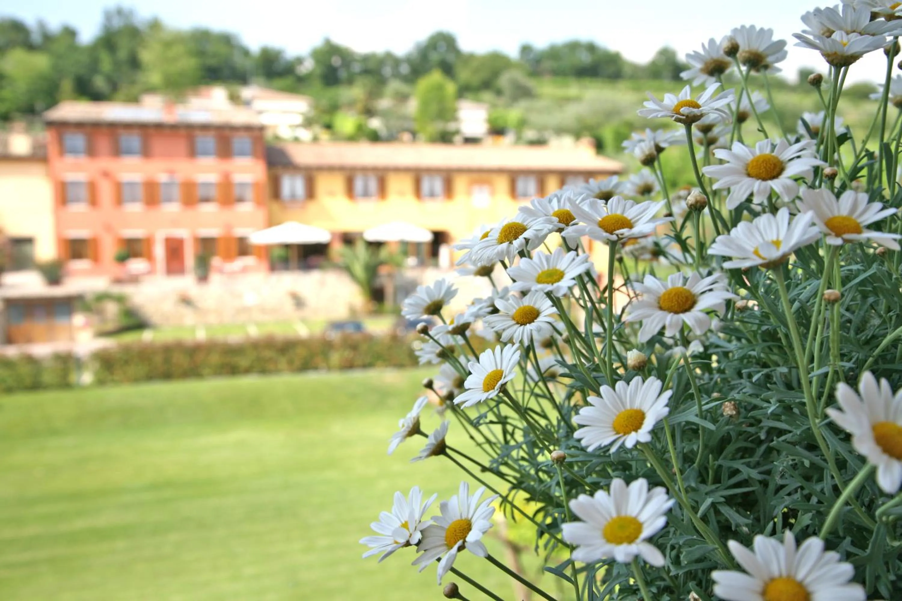 Facade/entrance in La Zerla