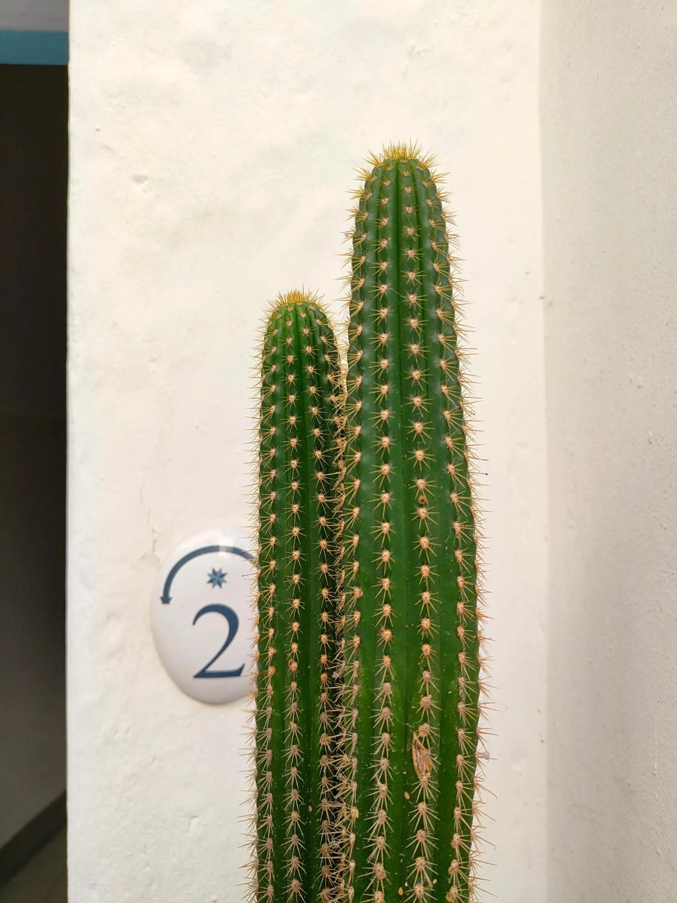 Decorative detail in B&B Palazzo del Capitolo - By I Bastioni San Domenico