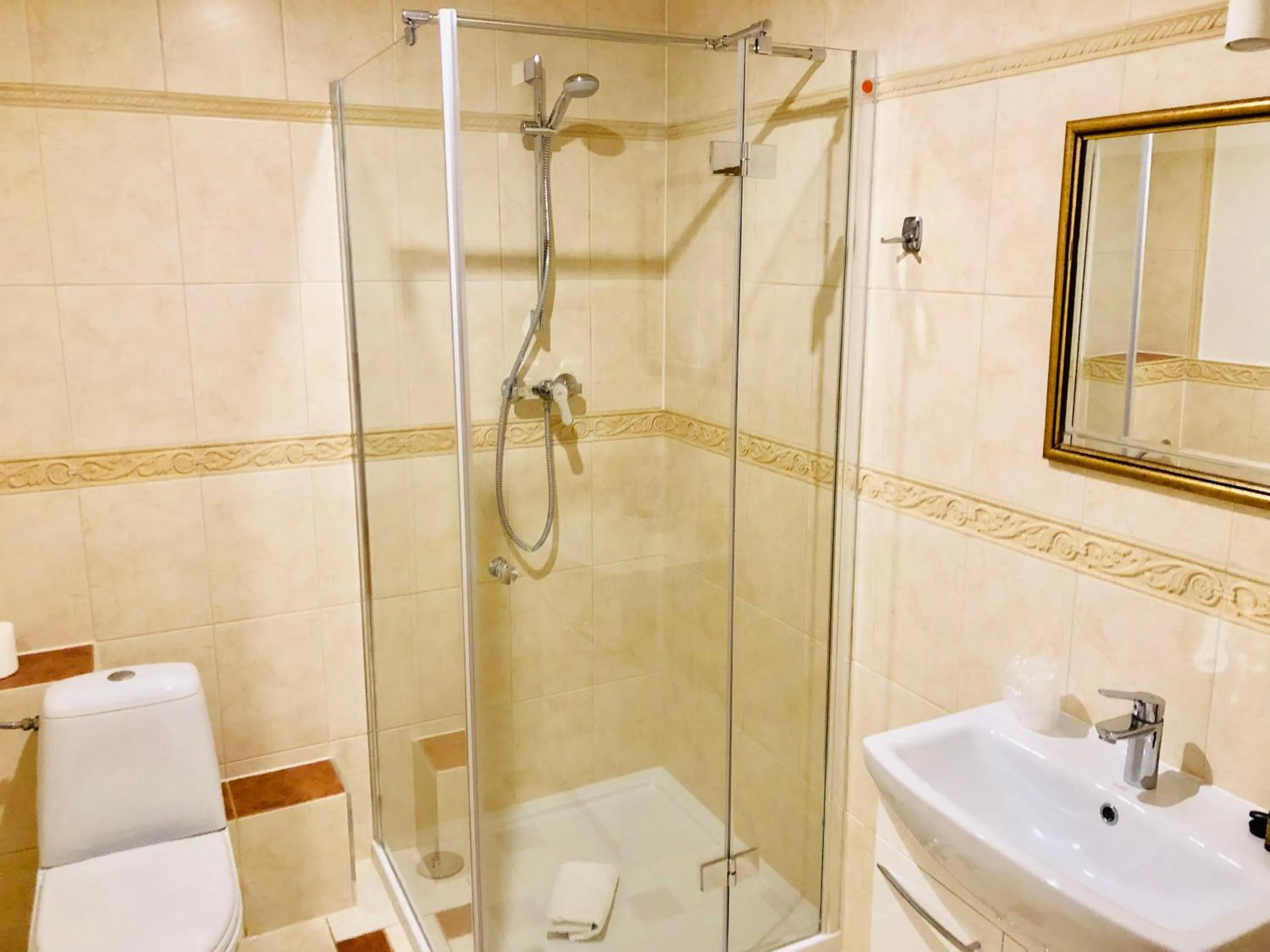 Shower in Hotel Artis