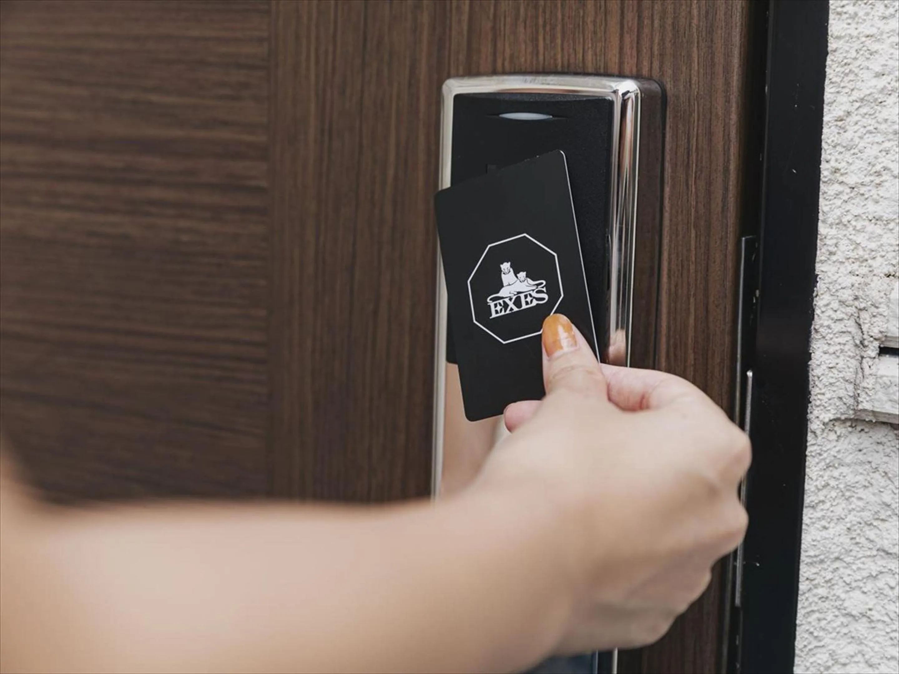 Area and facilities in Okinawa EXES Naha