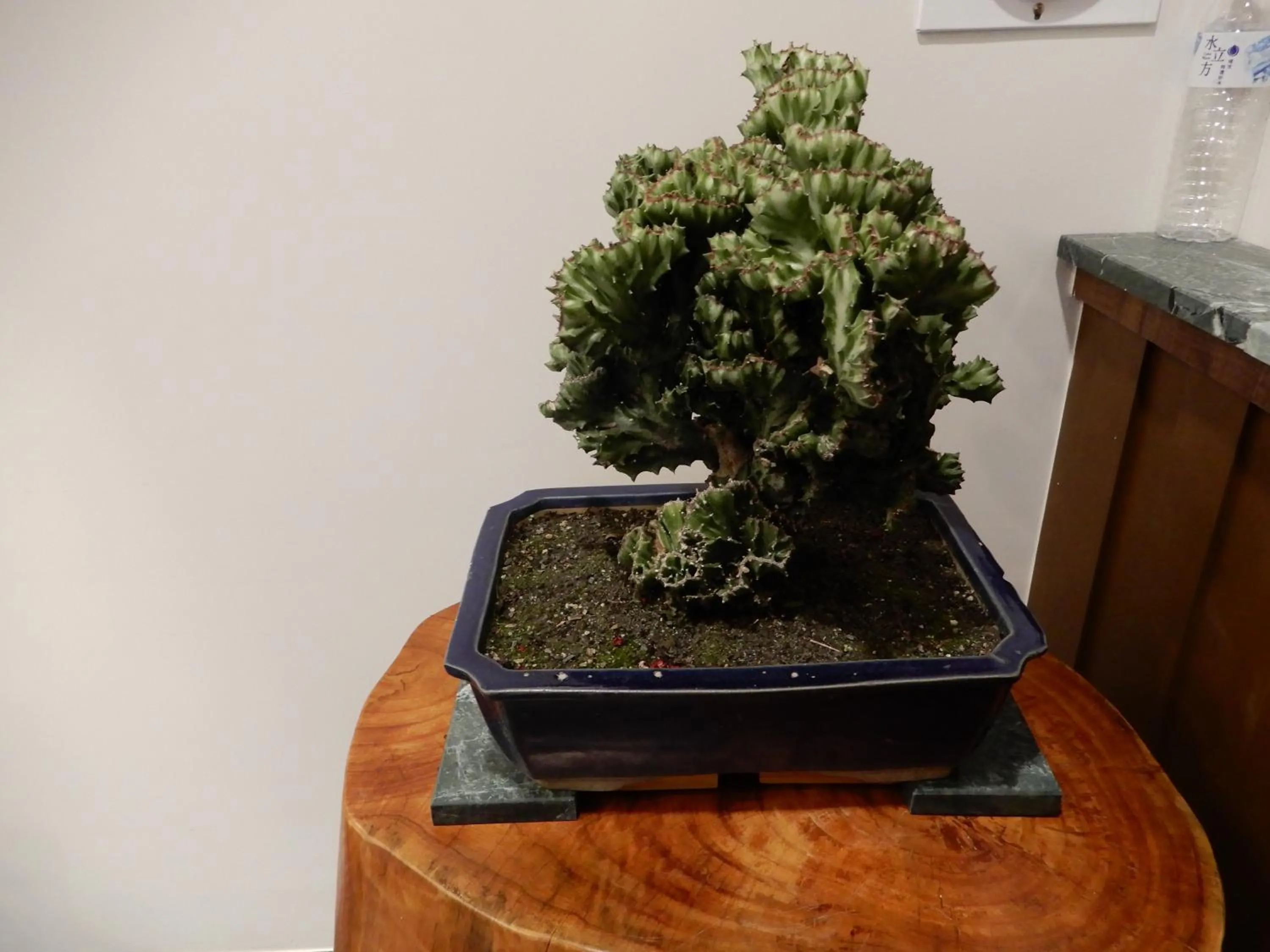 Happy Wing Guesthouse