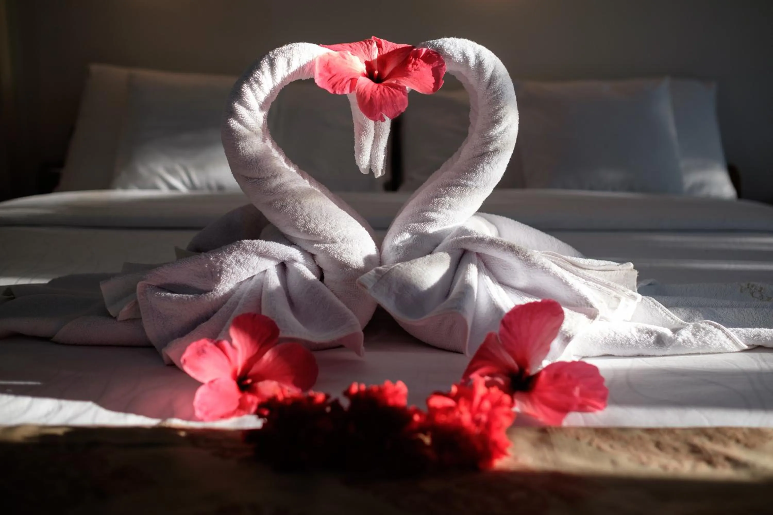 Bed in Kasai Village Dive Resort