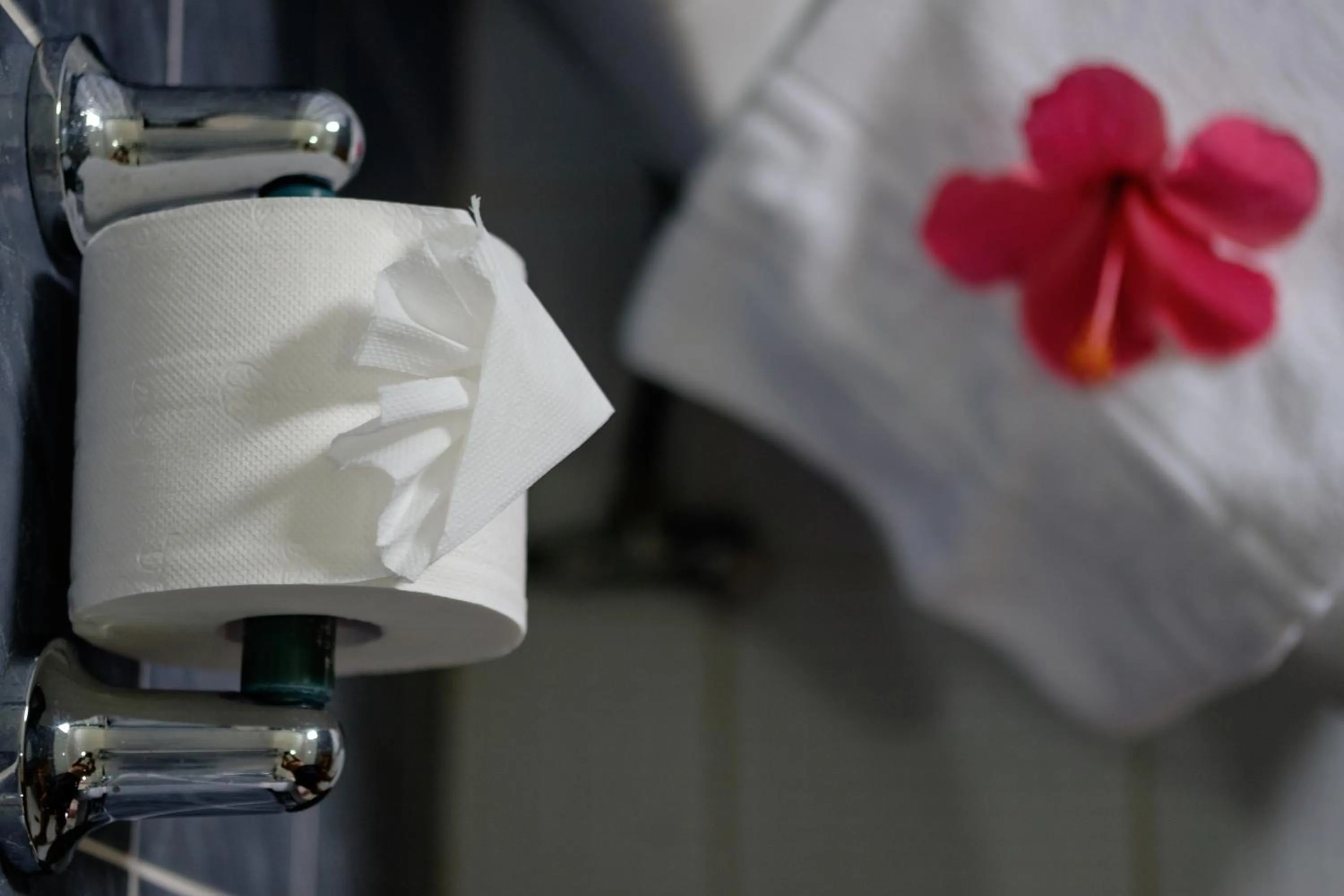 Bathroom, Bed in Kasai Village Dive Resort