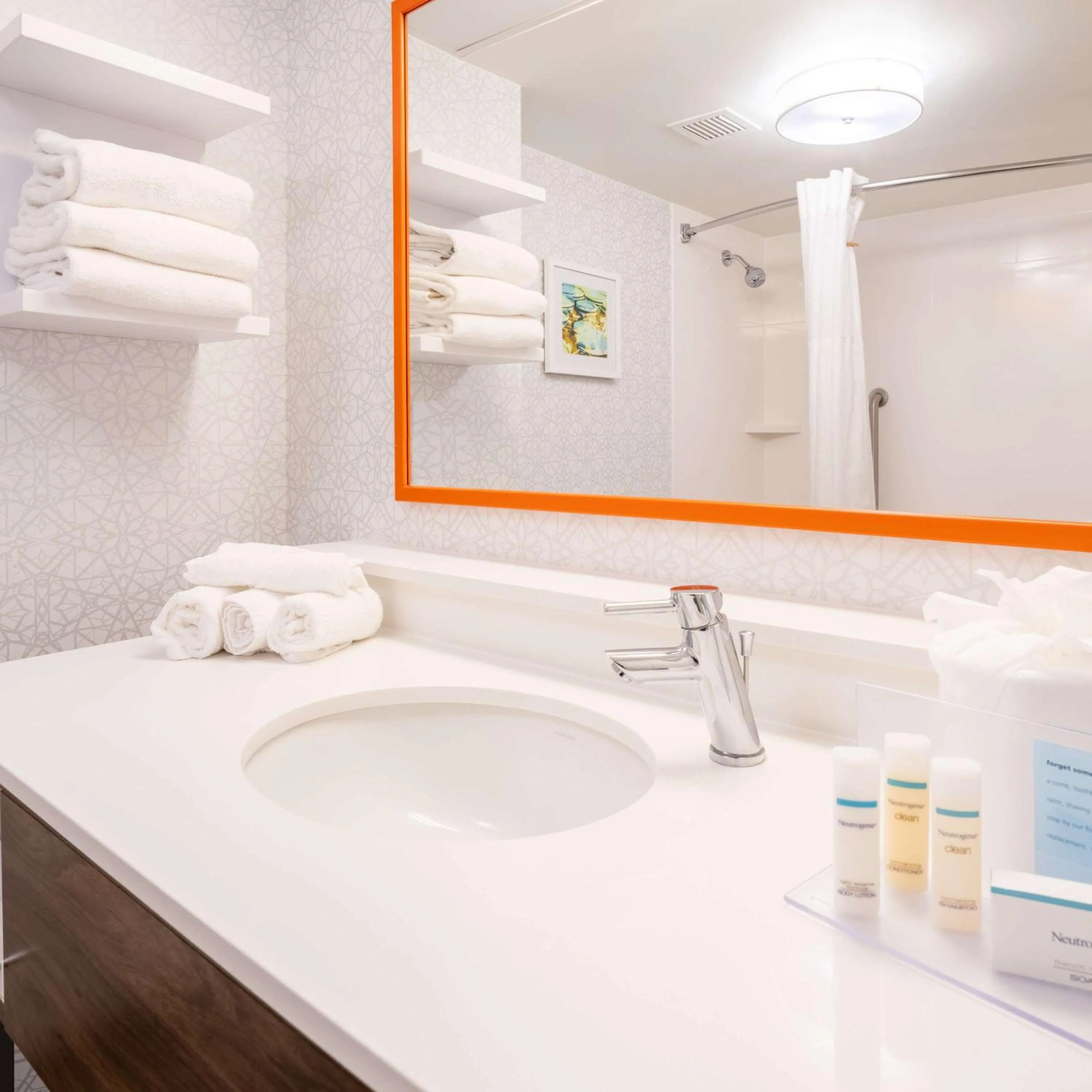 Bathroom in Hampton Inn Gainesville