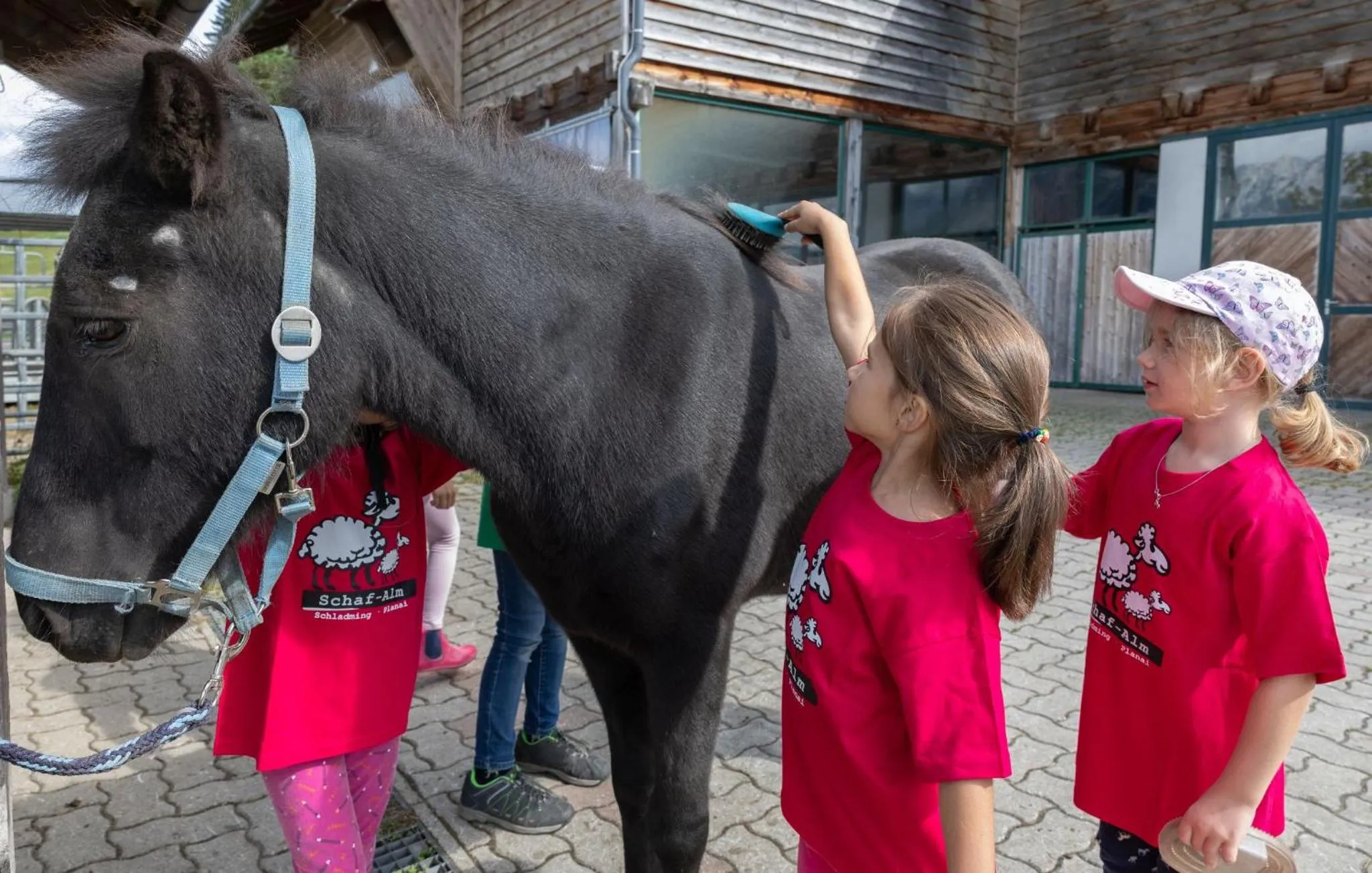 children in Hotel Schröckerhof