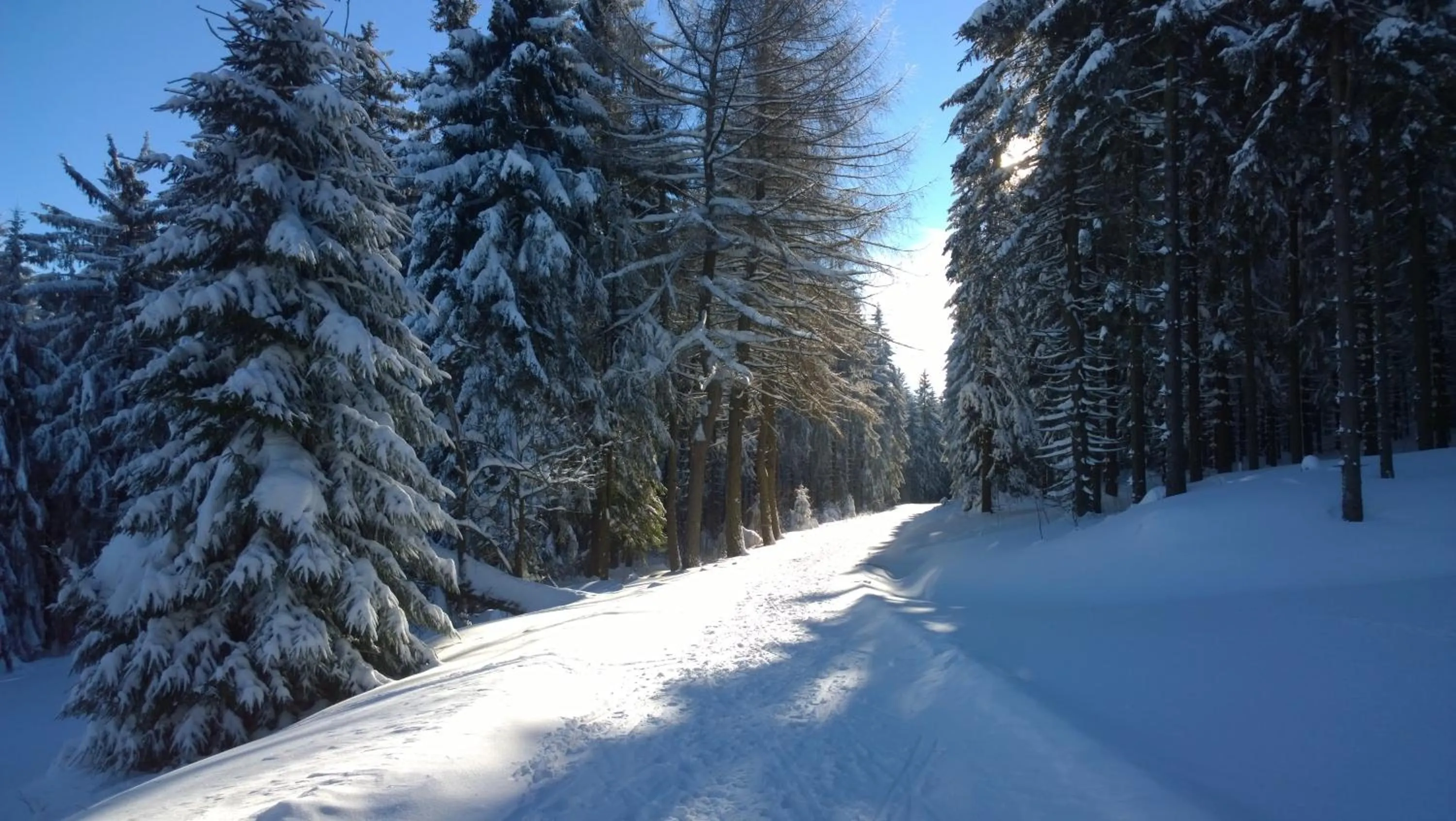 Winter in Panoramaferienwohnung Bergwiese