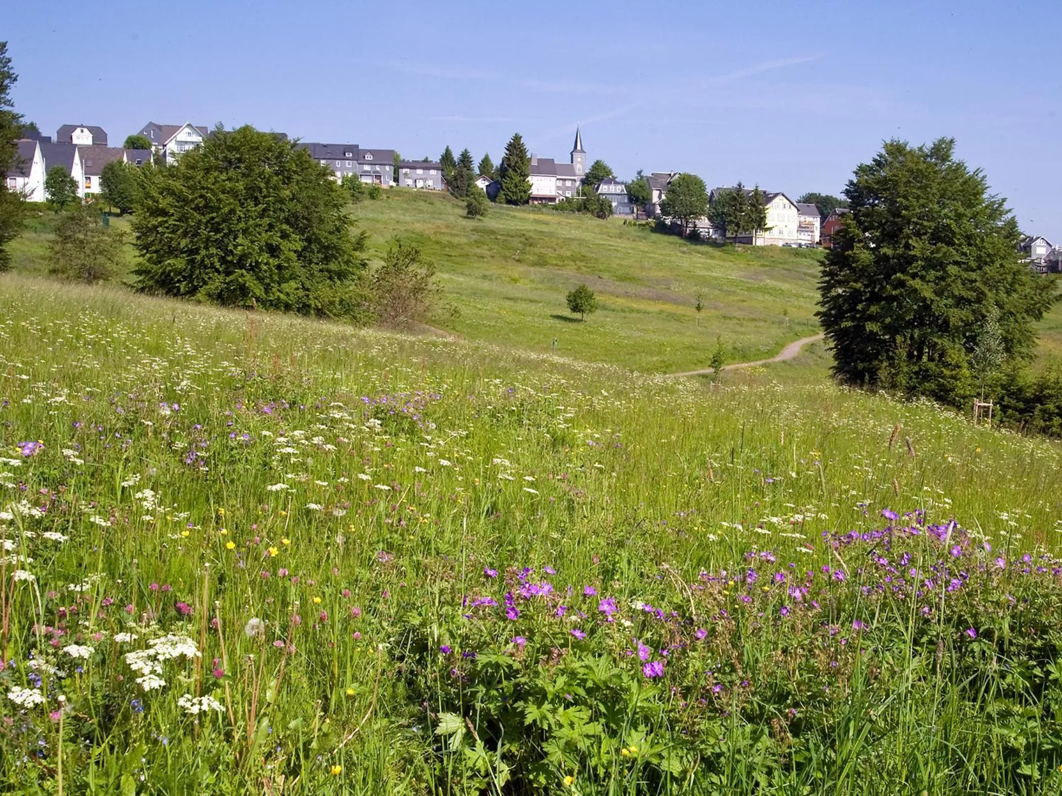 Off site in Panoramaferienwohnung Bergwiese