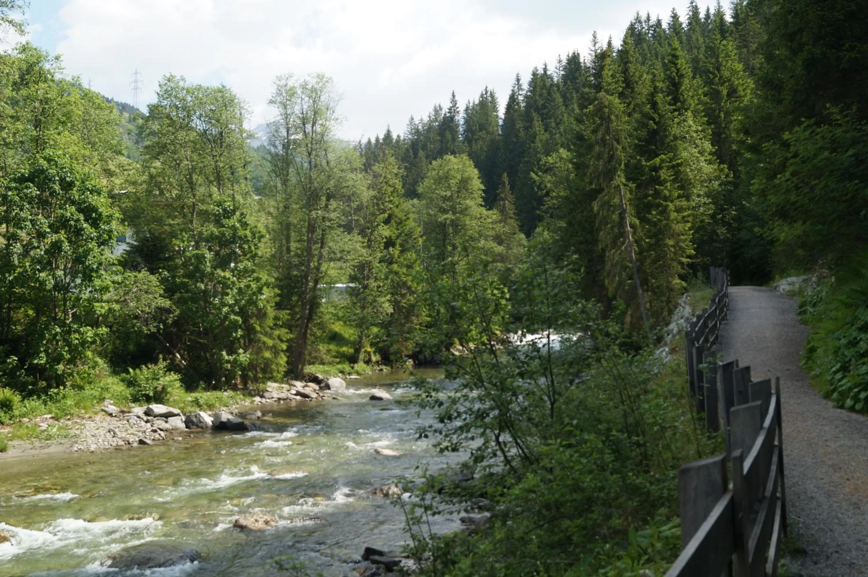 Hiking in Waidmannsruh Appartements