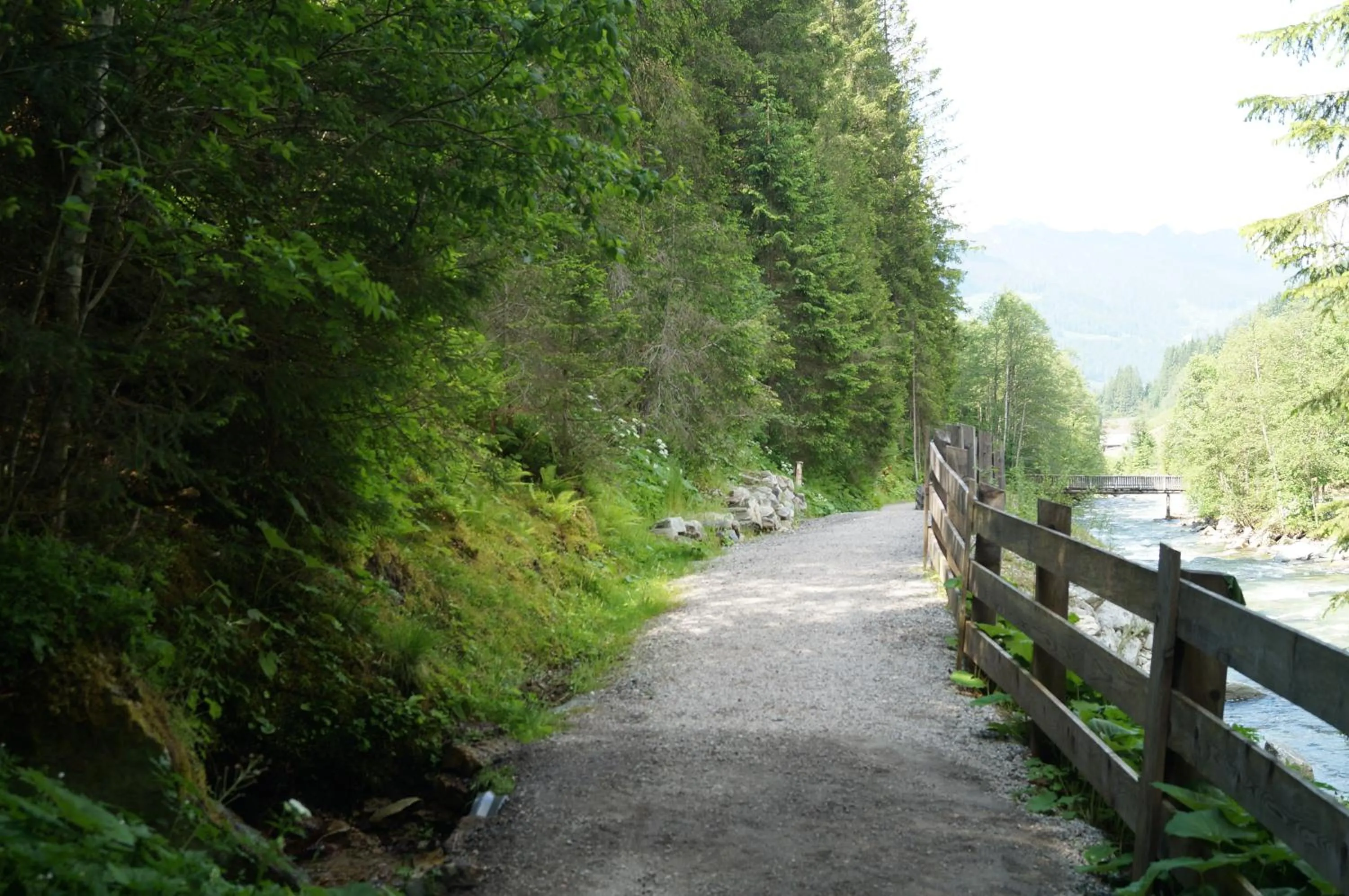 Hiking in Waidmannsruh Appartements