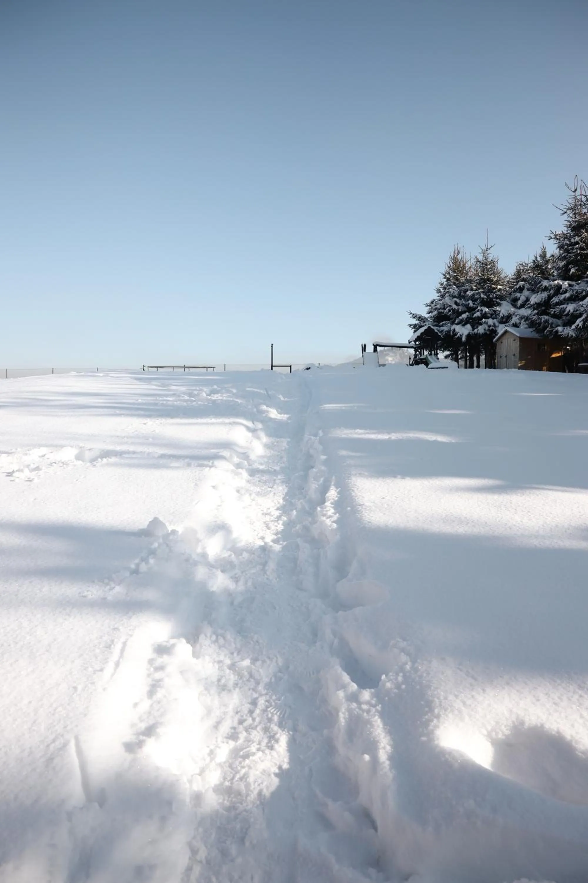 Winter in Willa Malinowa