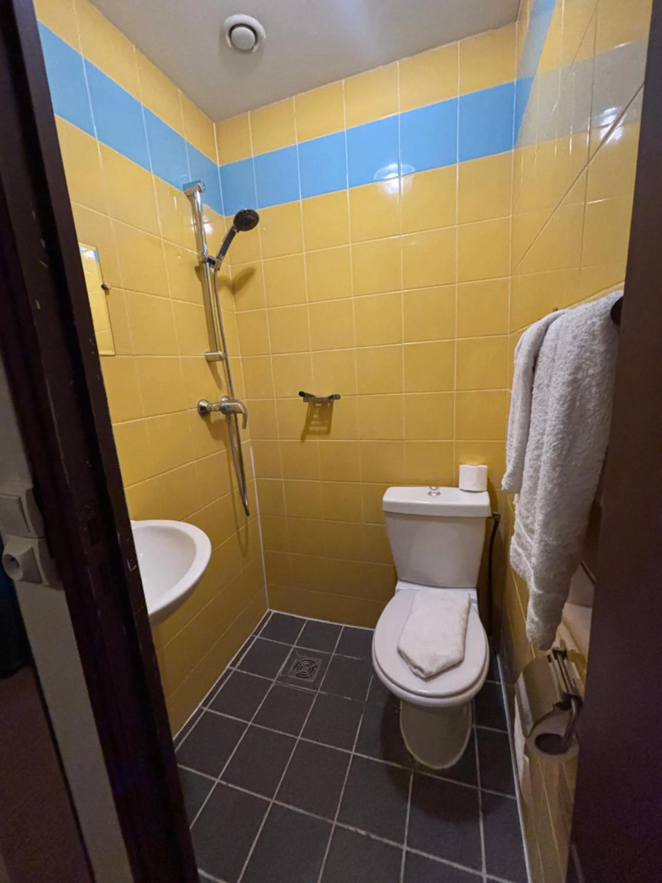 Bathroom in Hotel Anya