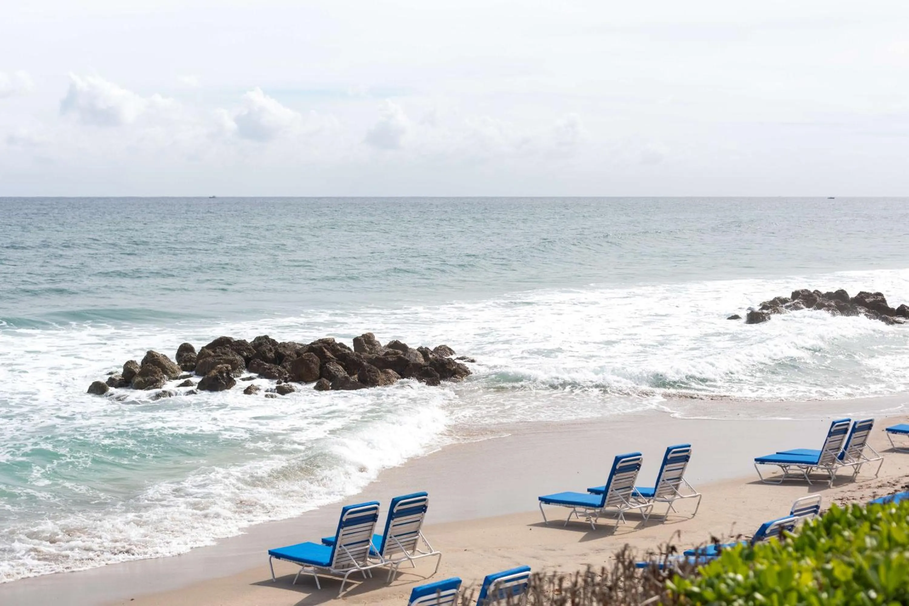 Beach in Embassy Suites by Hilton Deerfield Beach Resort & Spa