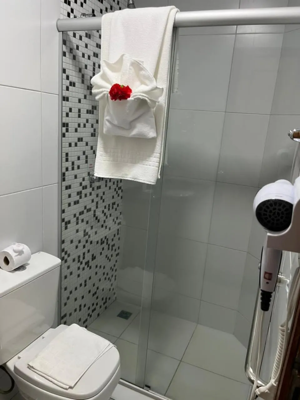 Toilet in Pousada Lagoa Seca