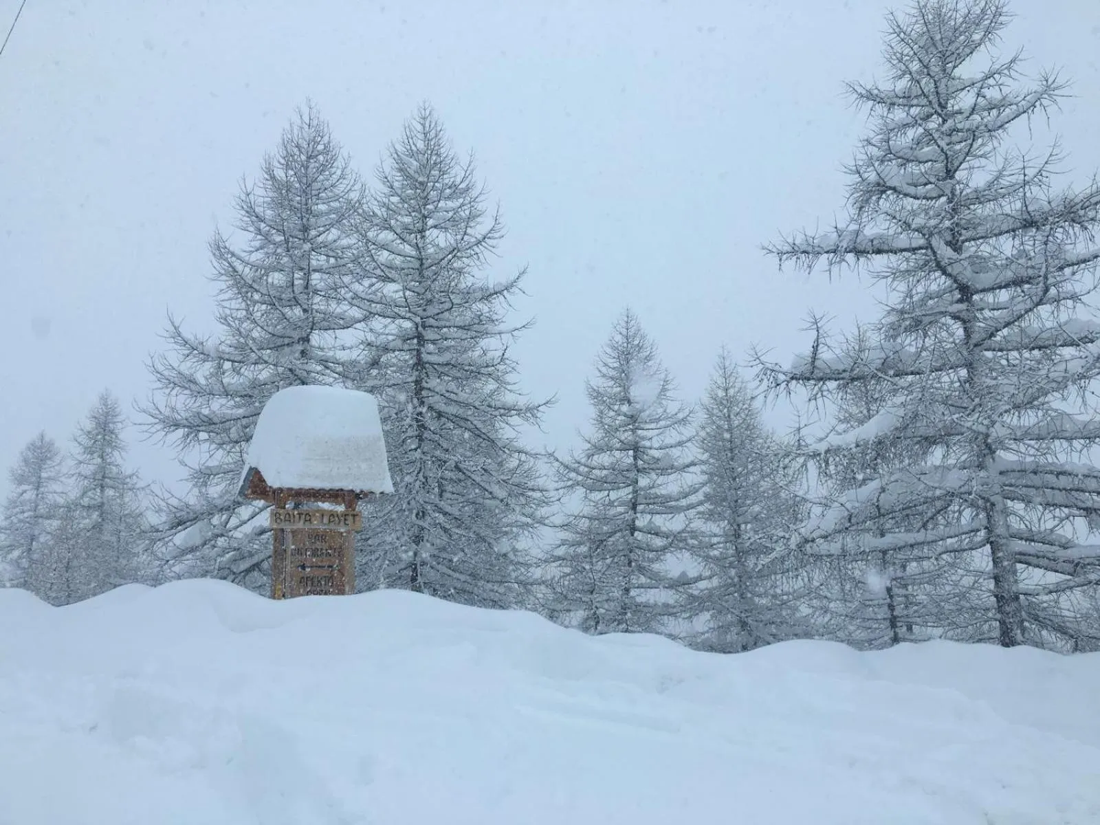 Property logo or sign in Baita Layet