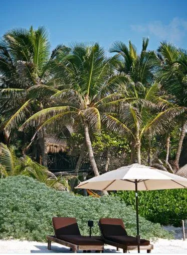 Beach in Playa Selva