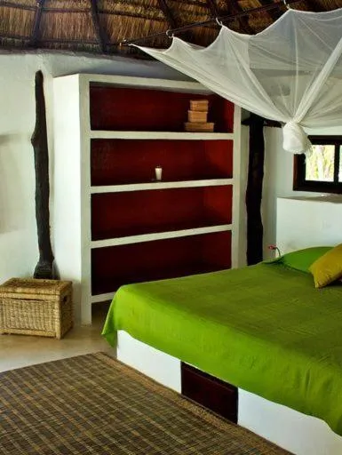 Photo of the whole room in Playa Selva