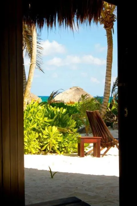 View (from property/room) in Playa Selva