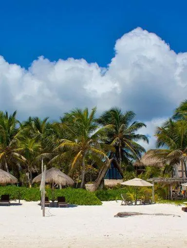 Beach in Playa Selva