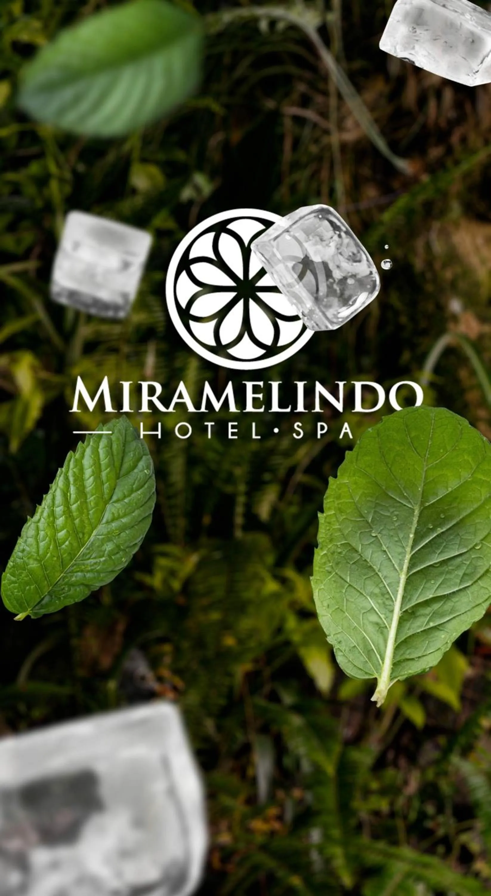 Spring in Spa Hosteria Miramelindo