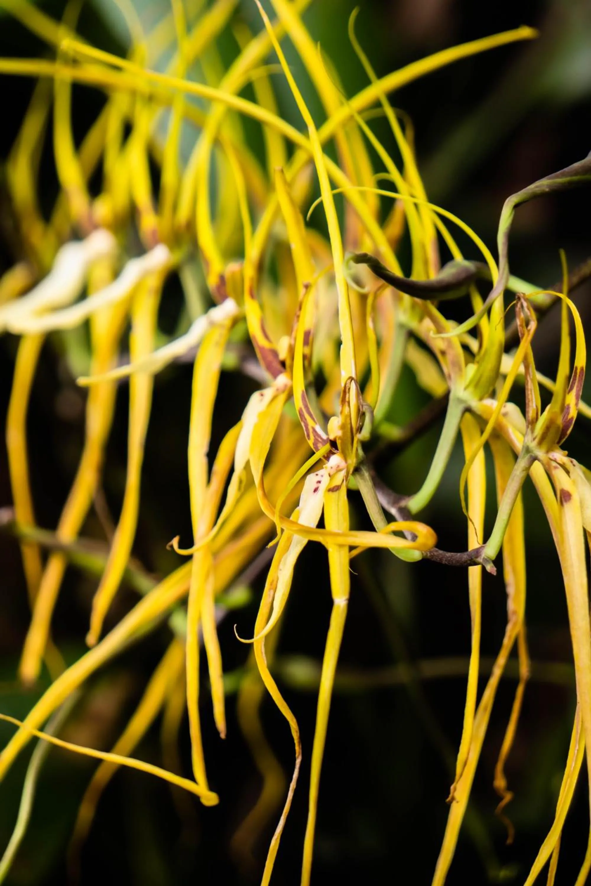 Day in Spa Hosteria Miramelindo