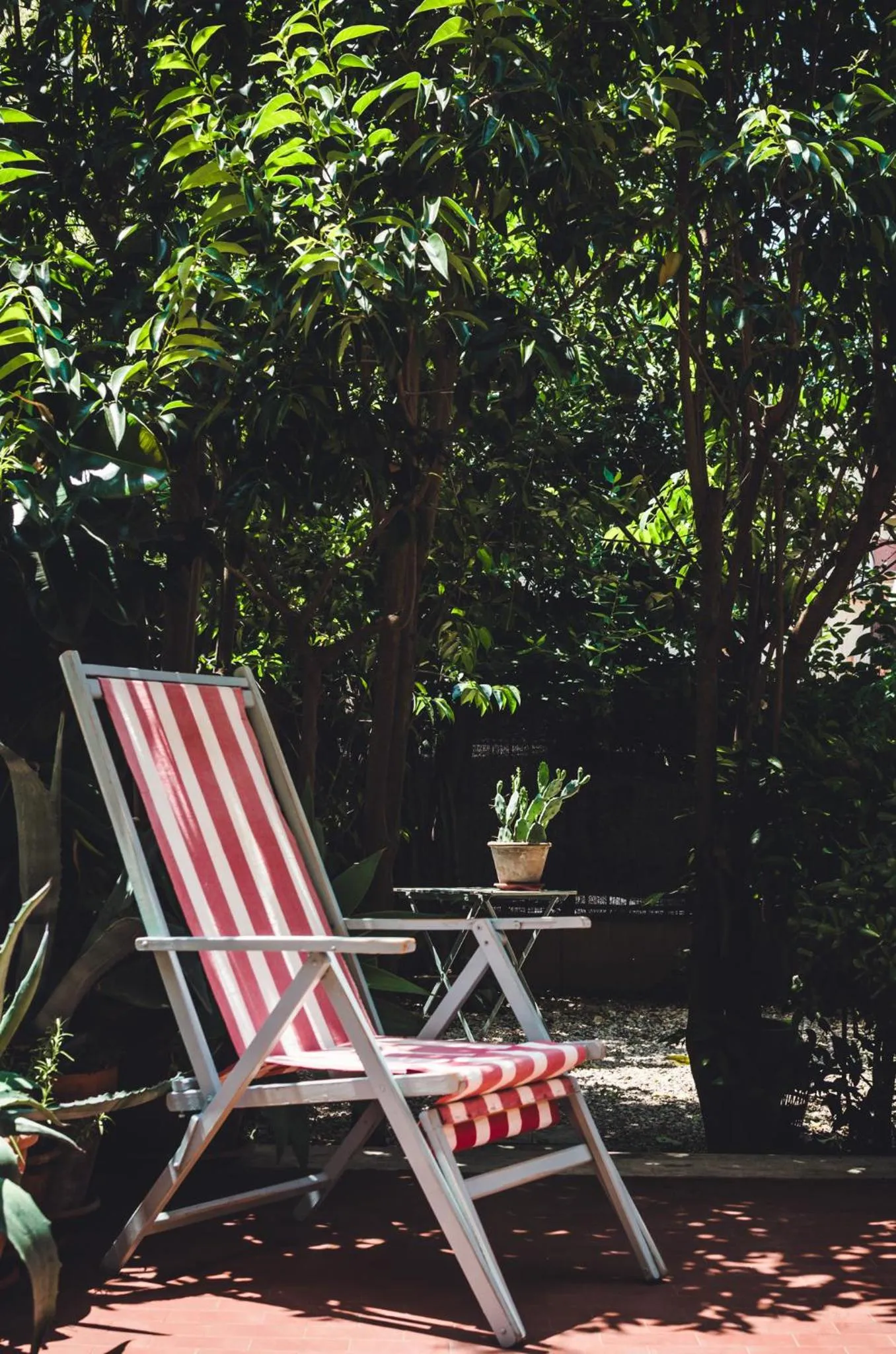 Garden view in B&B La Casa Pugliese