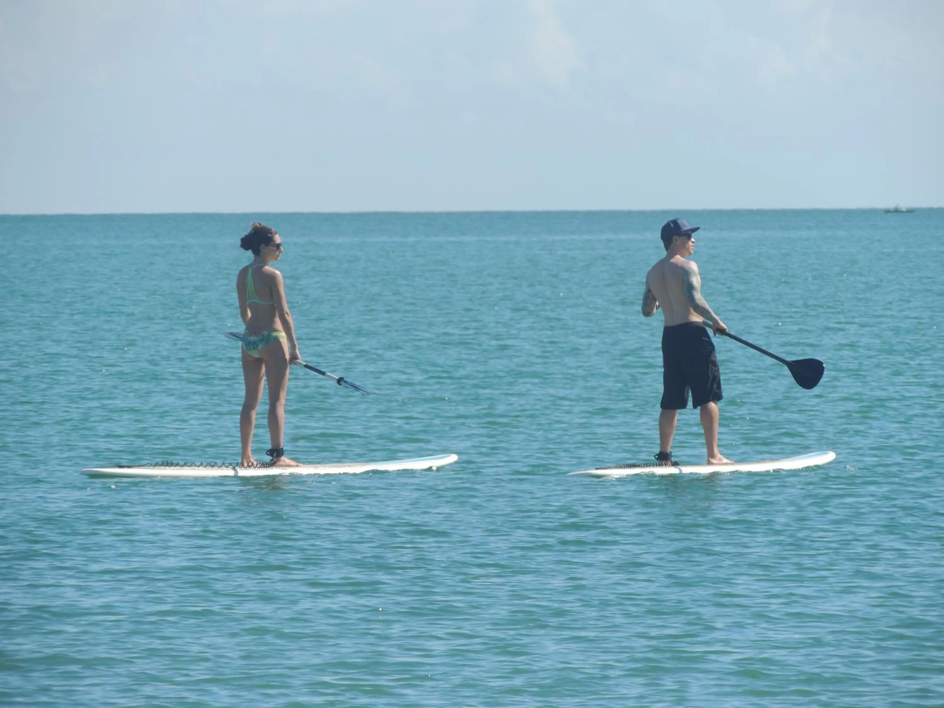 Canoeing in Parrot Cove Lodge