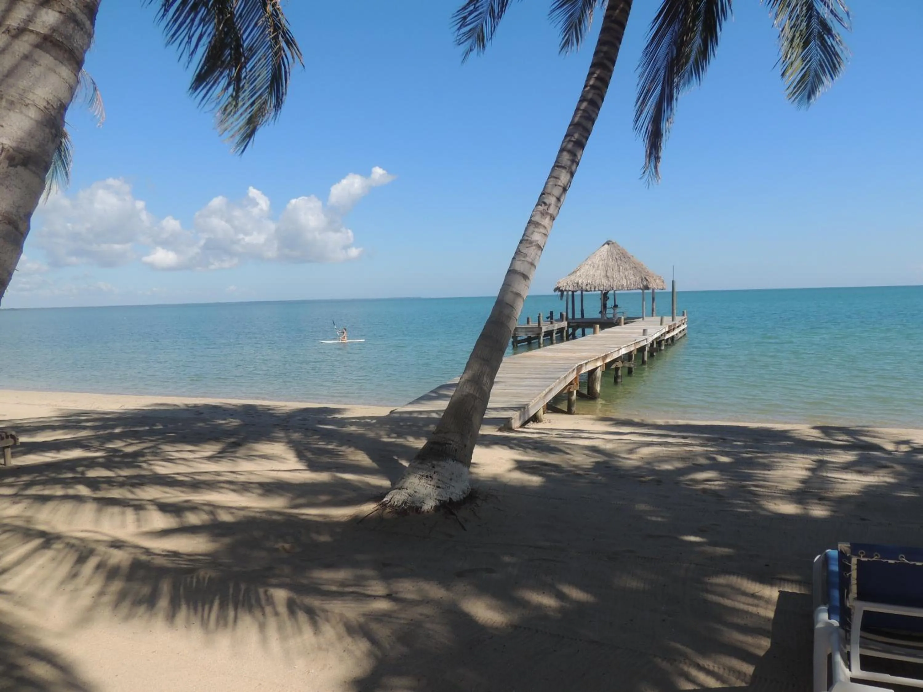 Beach in Parrot Cove Lodge