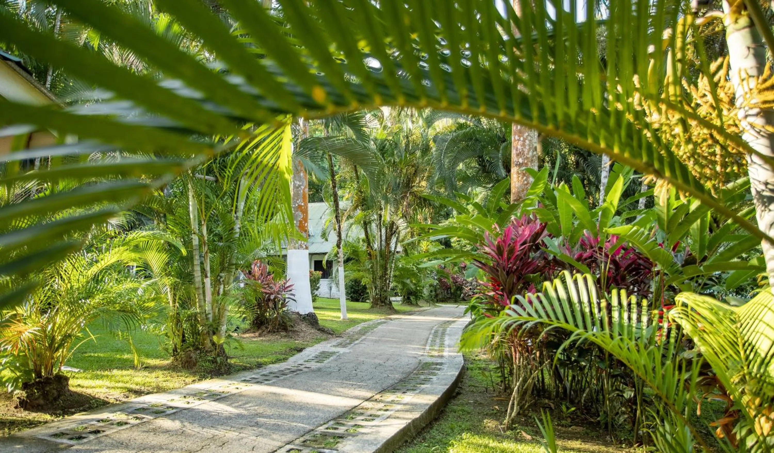 Garden in Hotel Villas Rio Mar