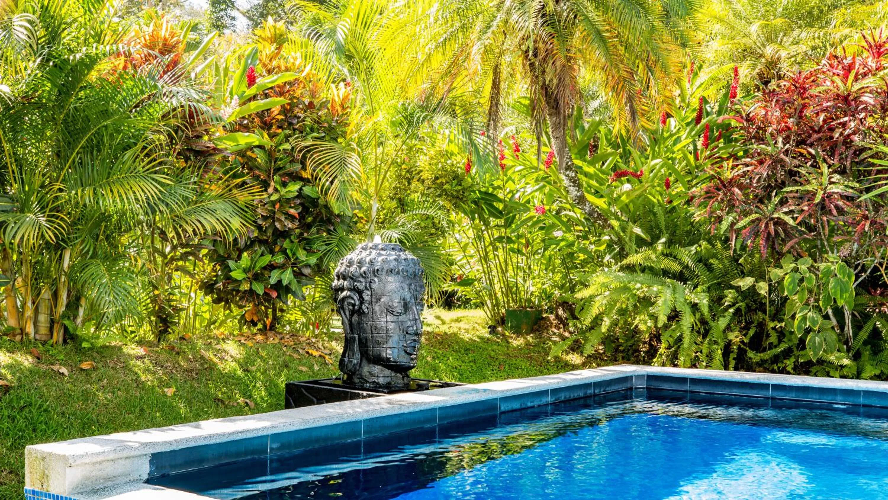 Garden in Hotel Villas Rio Mar