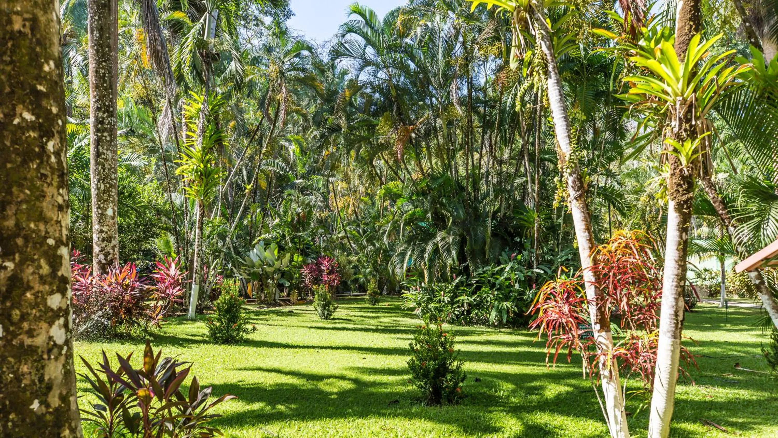Garden in Hotel Villas Rio Mar