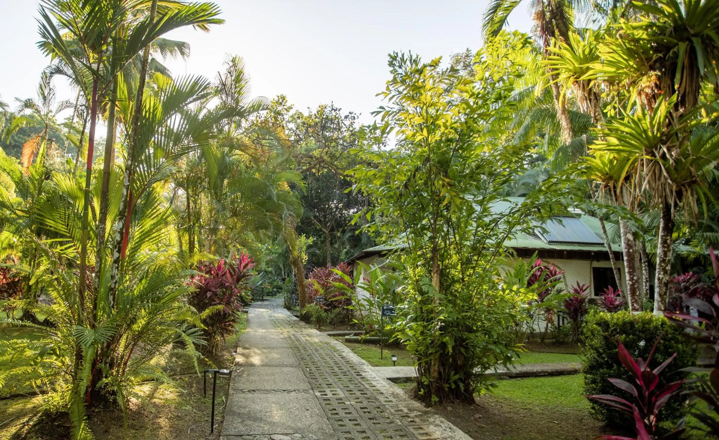 Natural landscape in Hotel Villas Rio Mar