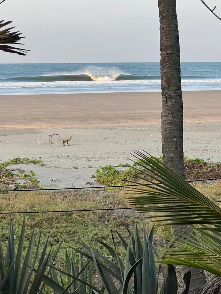 Beach in Redwood Beach Resort