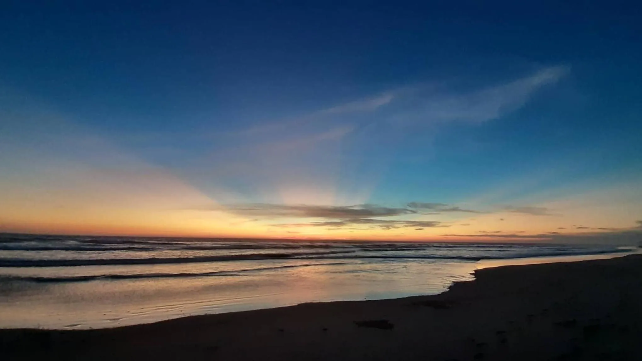 Natural landscape in Redwood Beach Resort