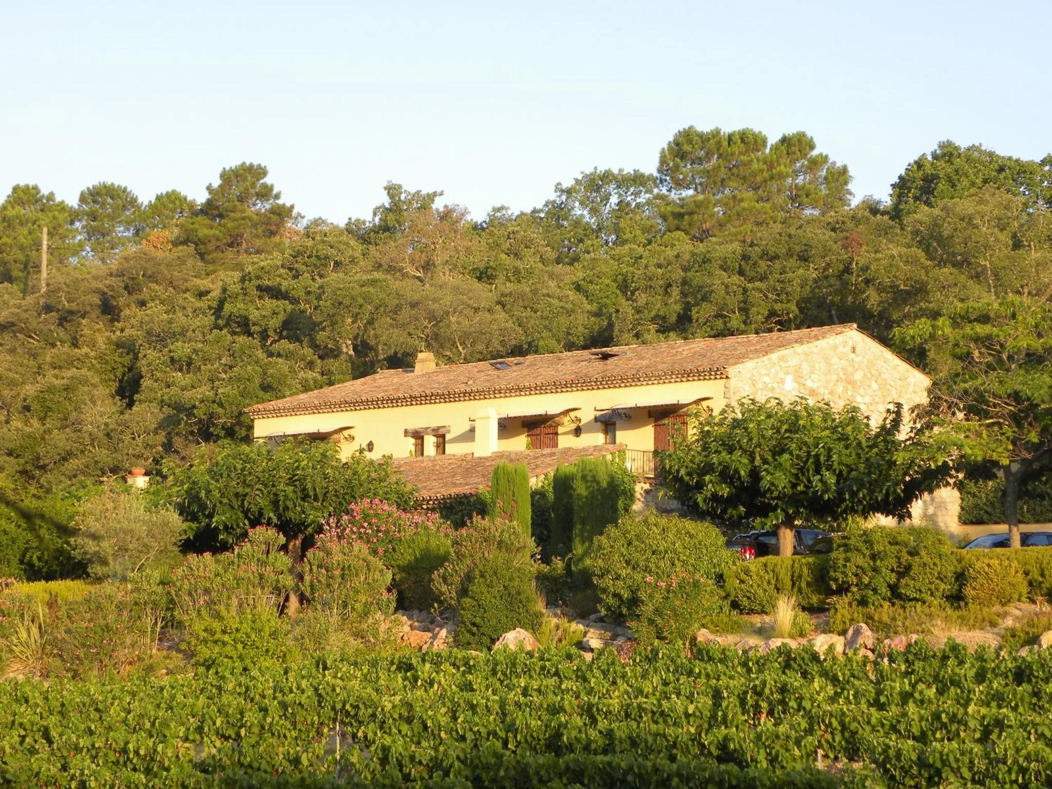 Natural landscape in La Bergerie