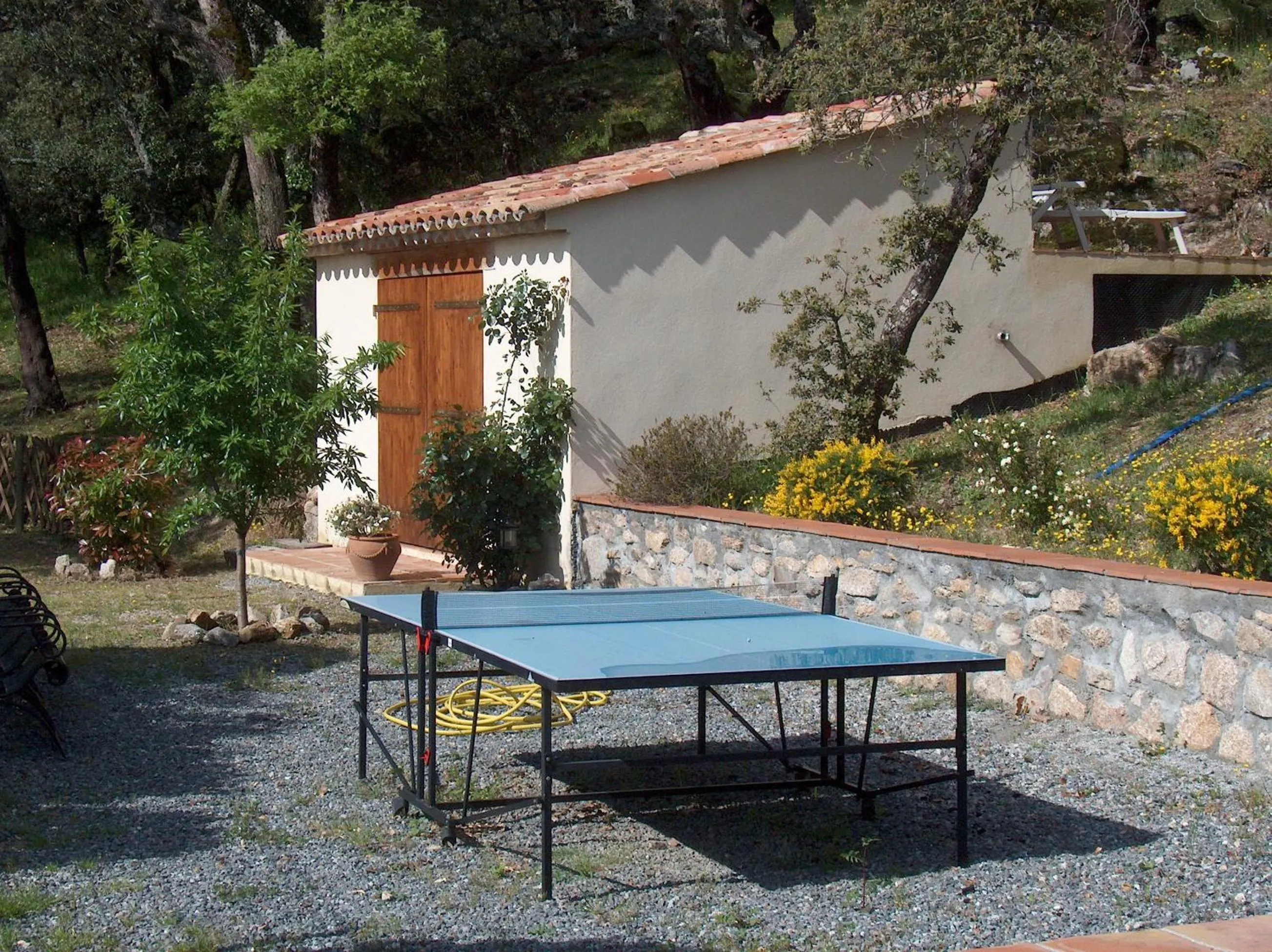 Table tennis in La Bergerie