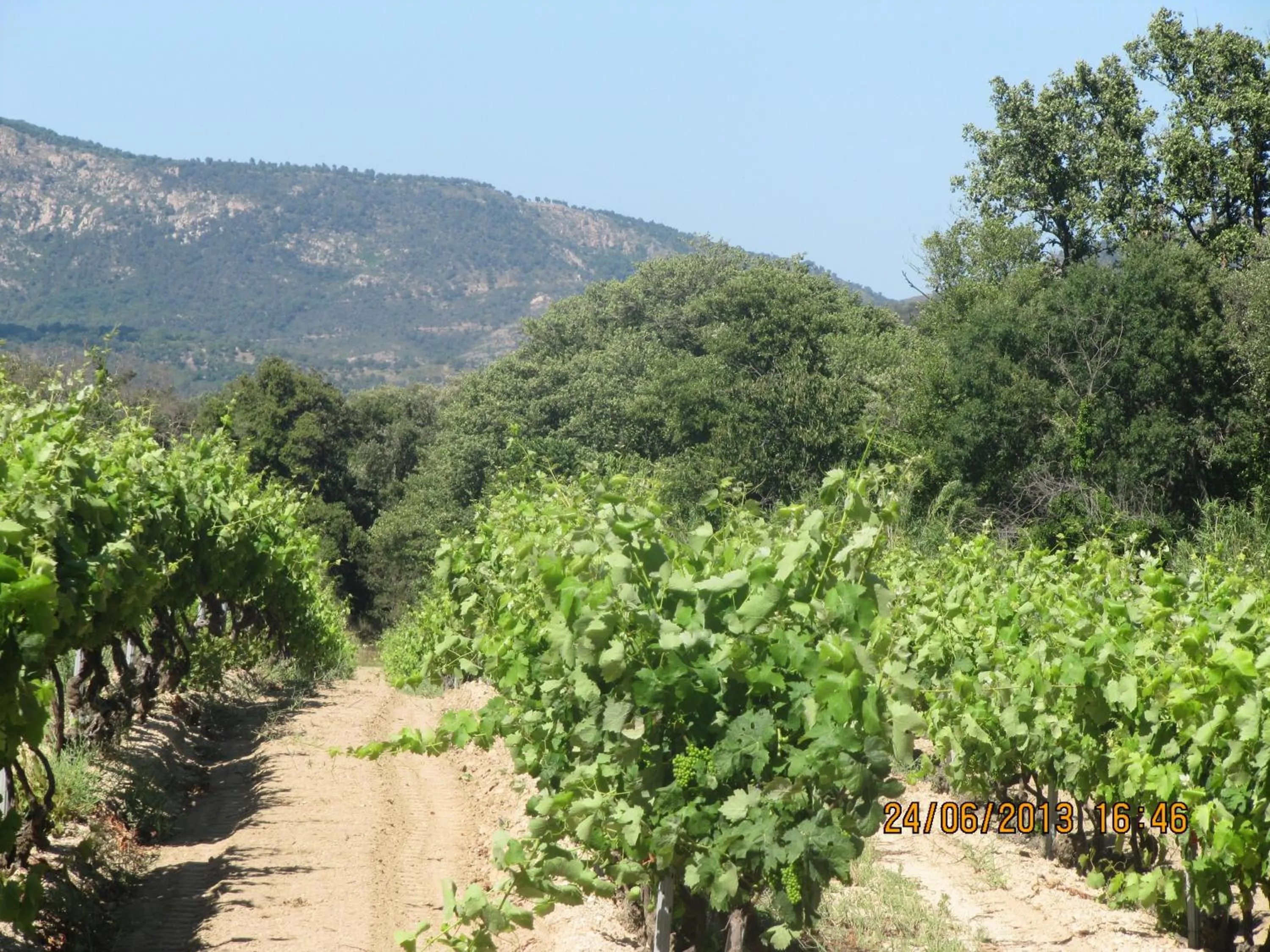 Natural landscape in La Bergerie