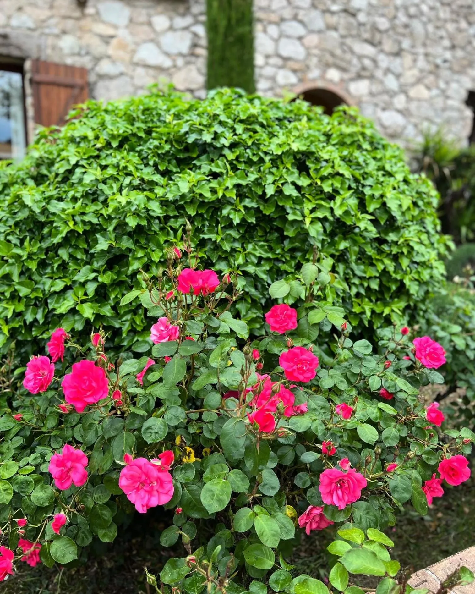 Garden in La Bergerie