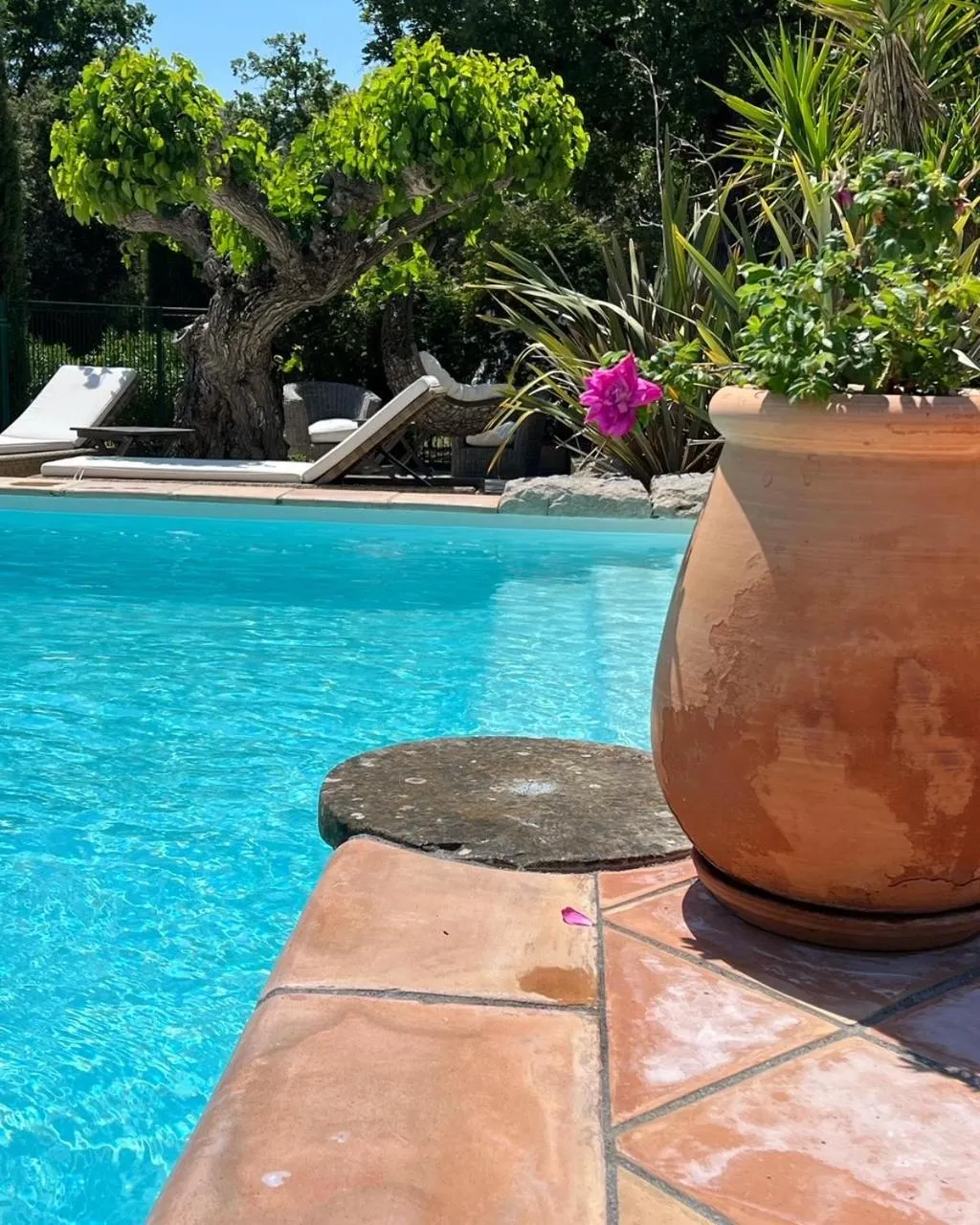 Swimming pool in La Bergerie