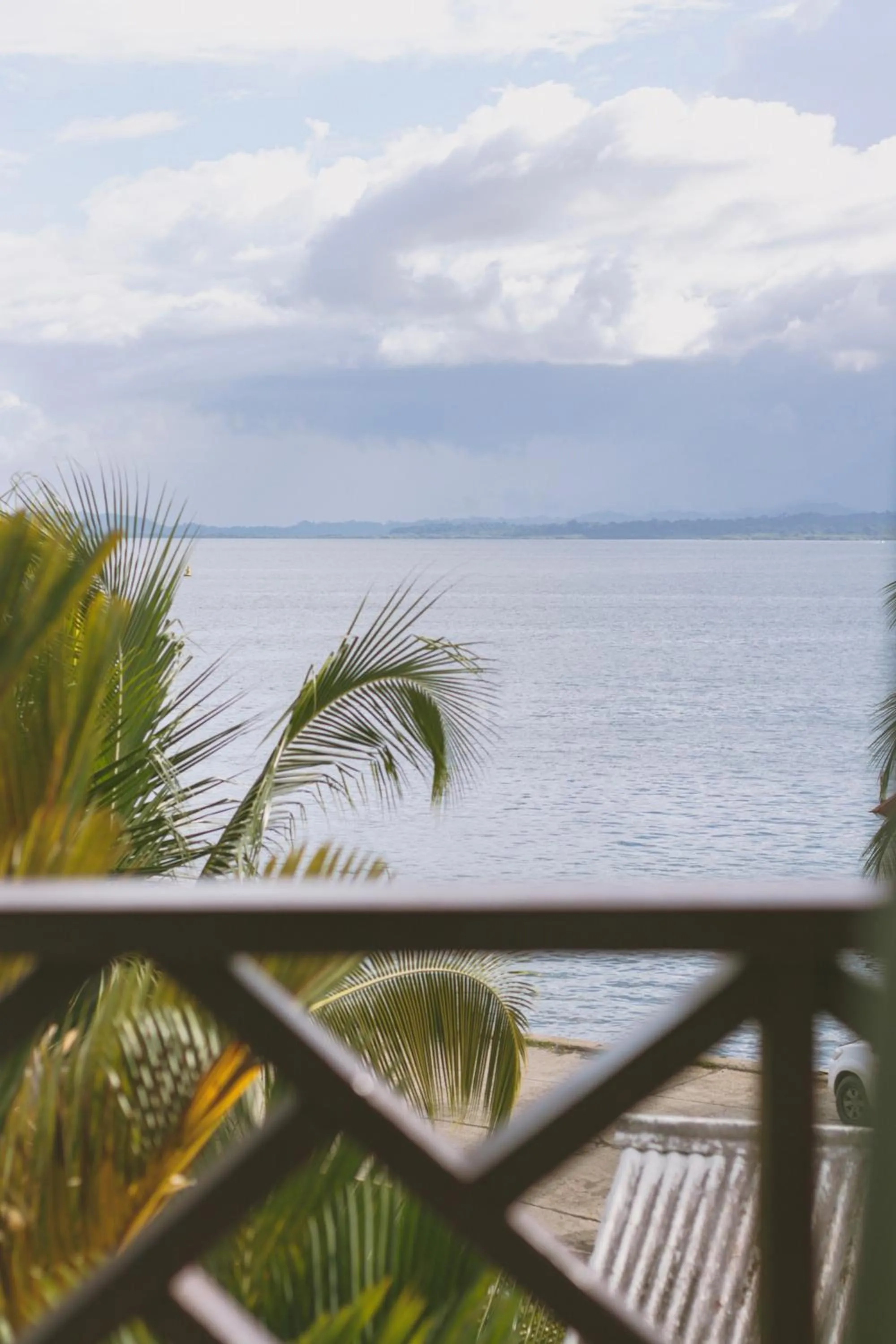 View (from property/room) in Hotel Palma Royale